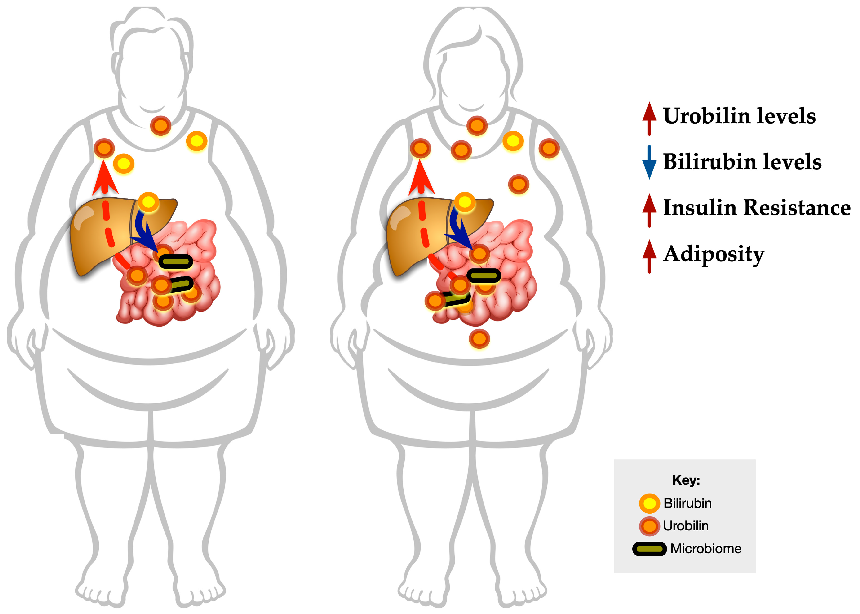 Antioxidants 12 00170 g008 Antioxidants 12 00170 g008