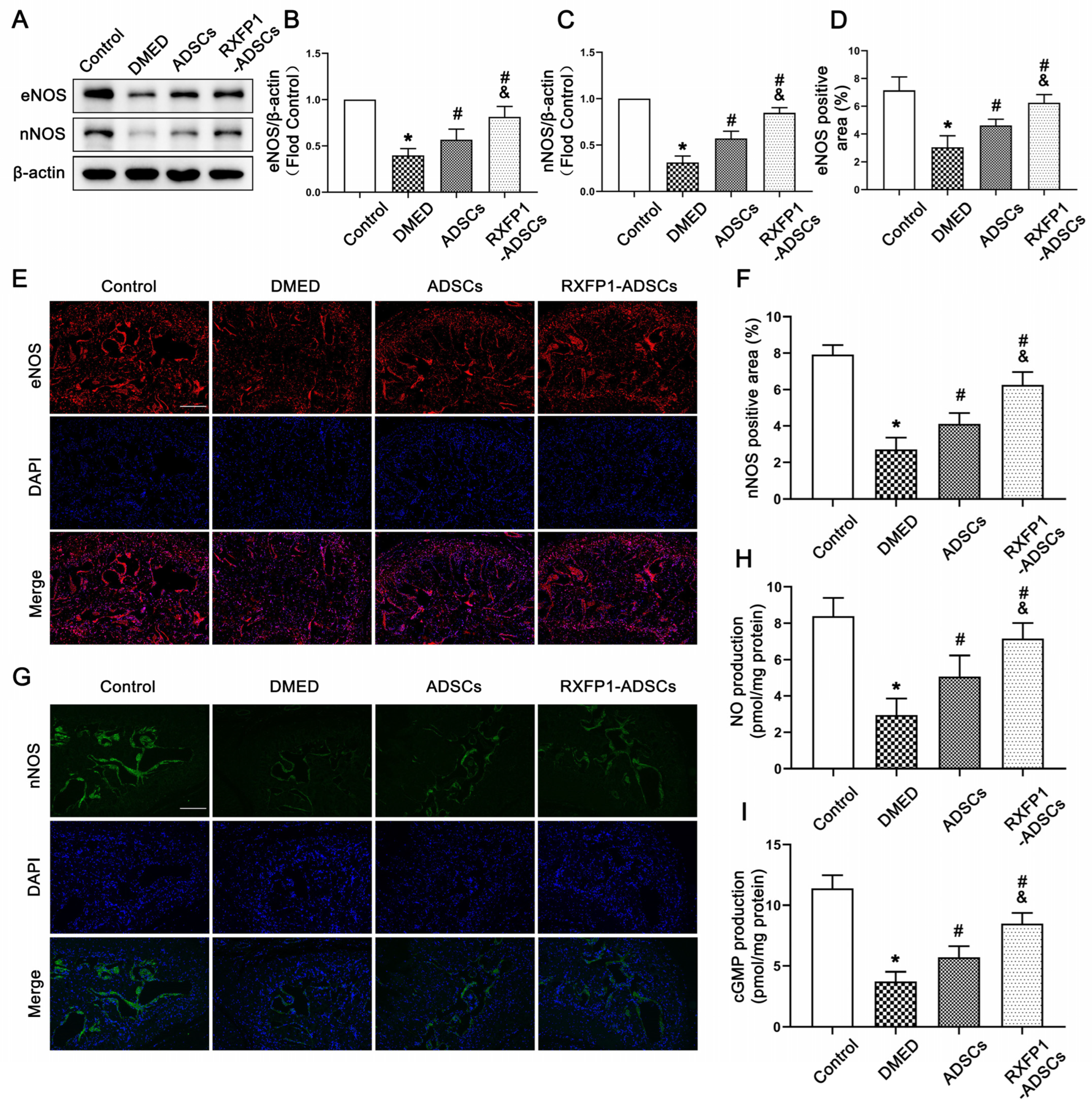Antioxidants 12 00171 g005
