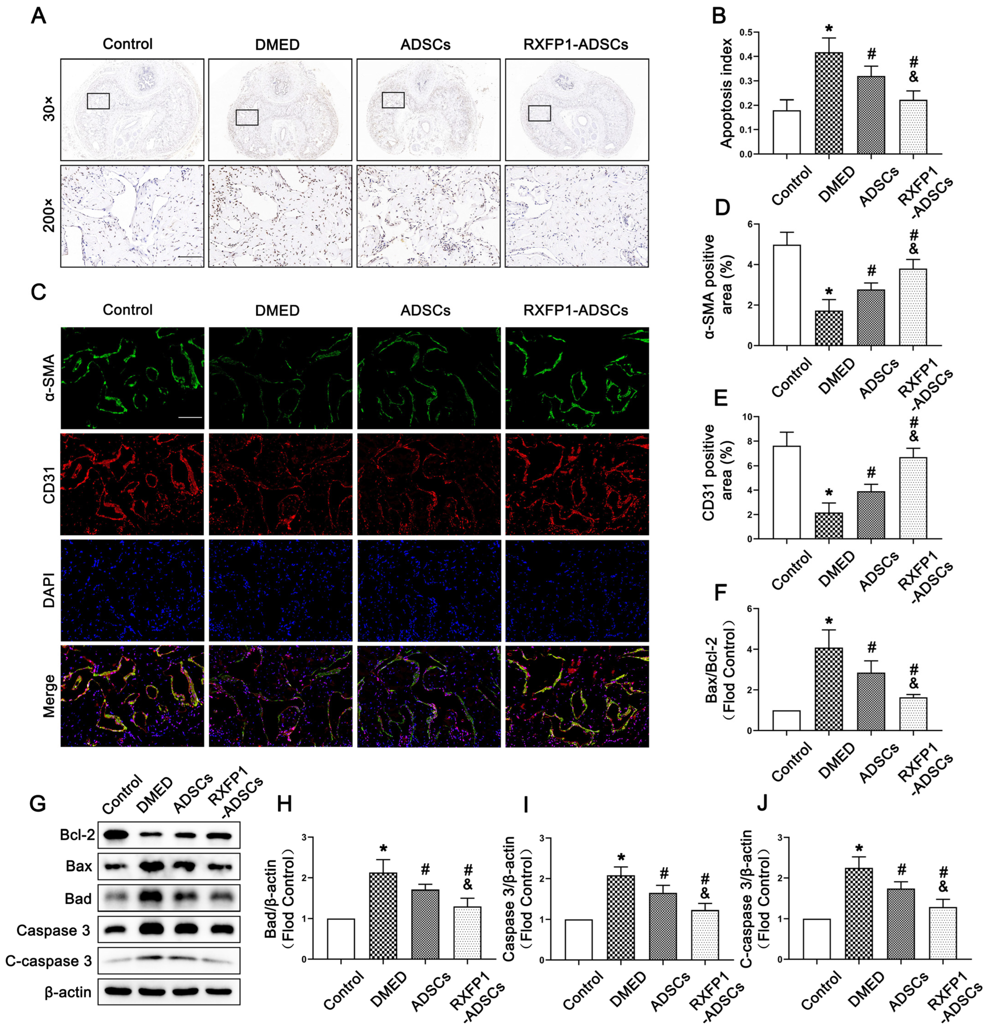 Antioxidants 12 00171 g007