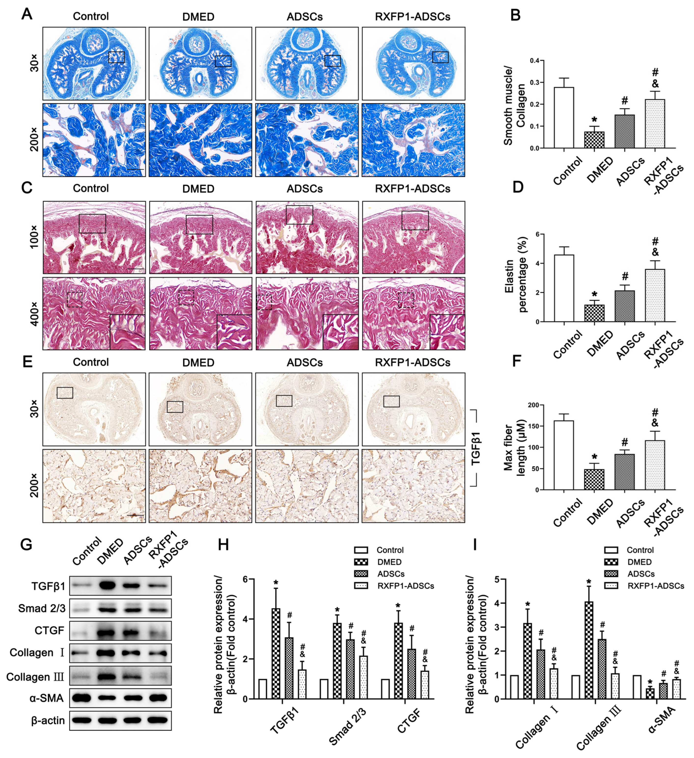 Antioxidants 12 00171 g008