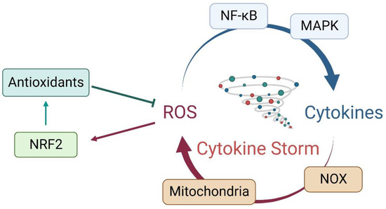 Is Nuclear Factor Erythroid 2-Related Factor 2 a Target for