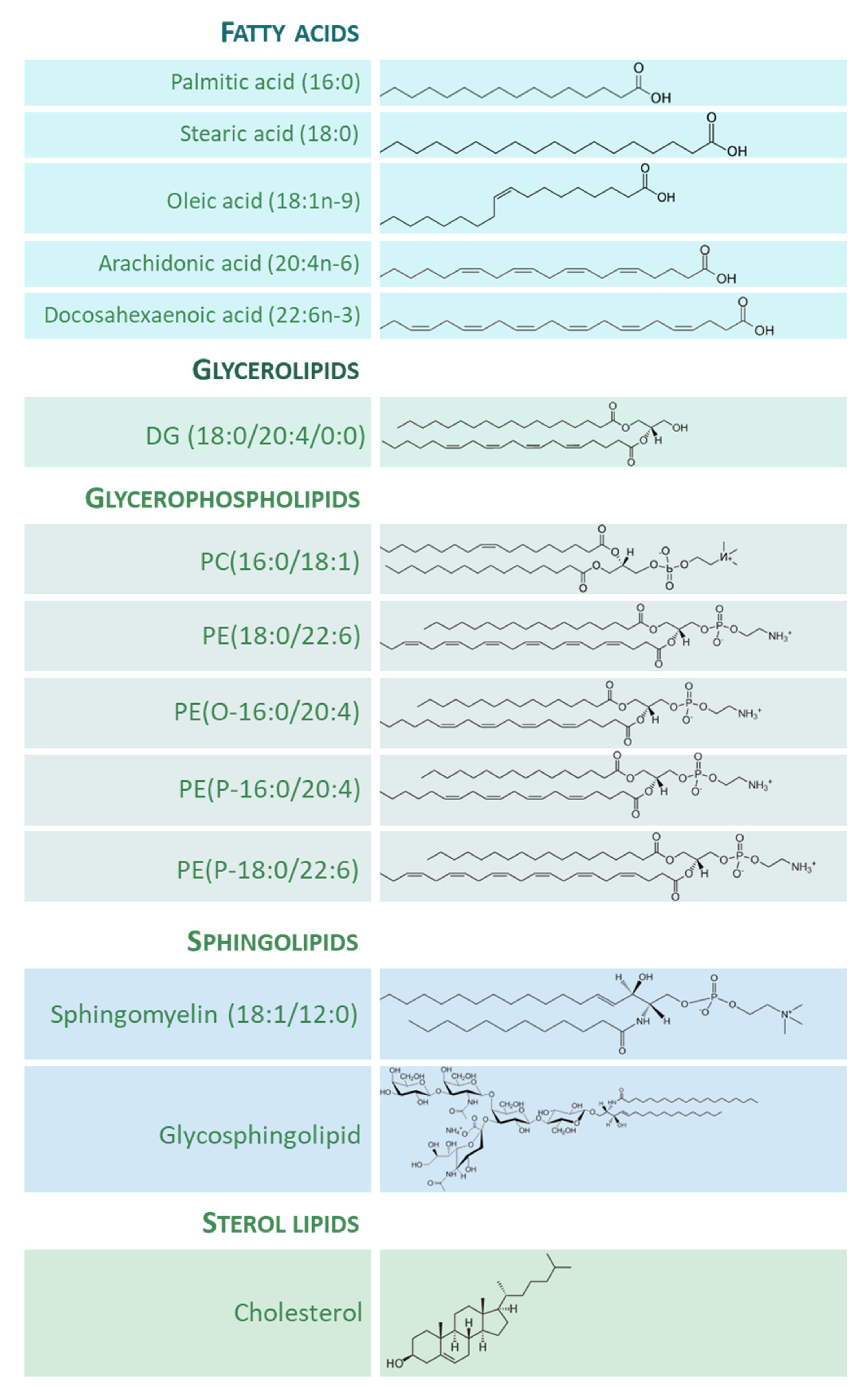 Antioxidants 12 00177 g001 Antioxidants 12 00177 g001