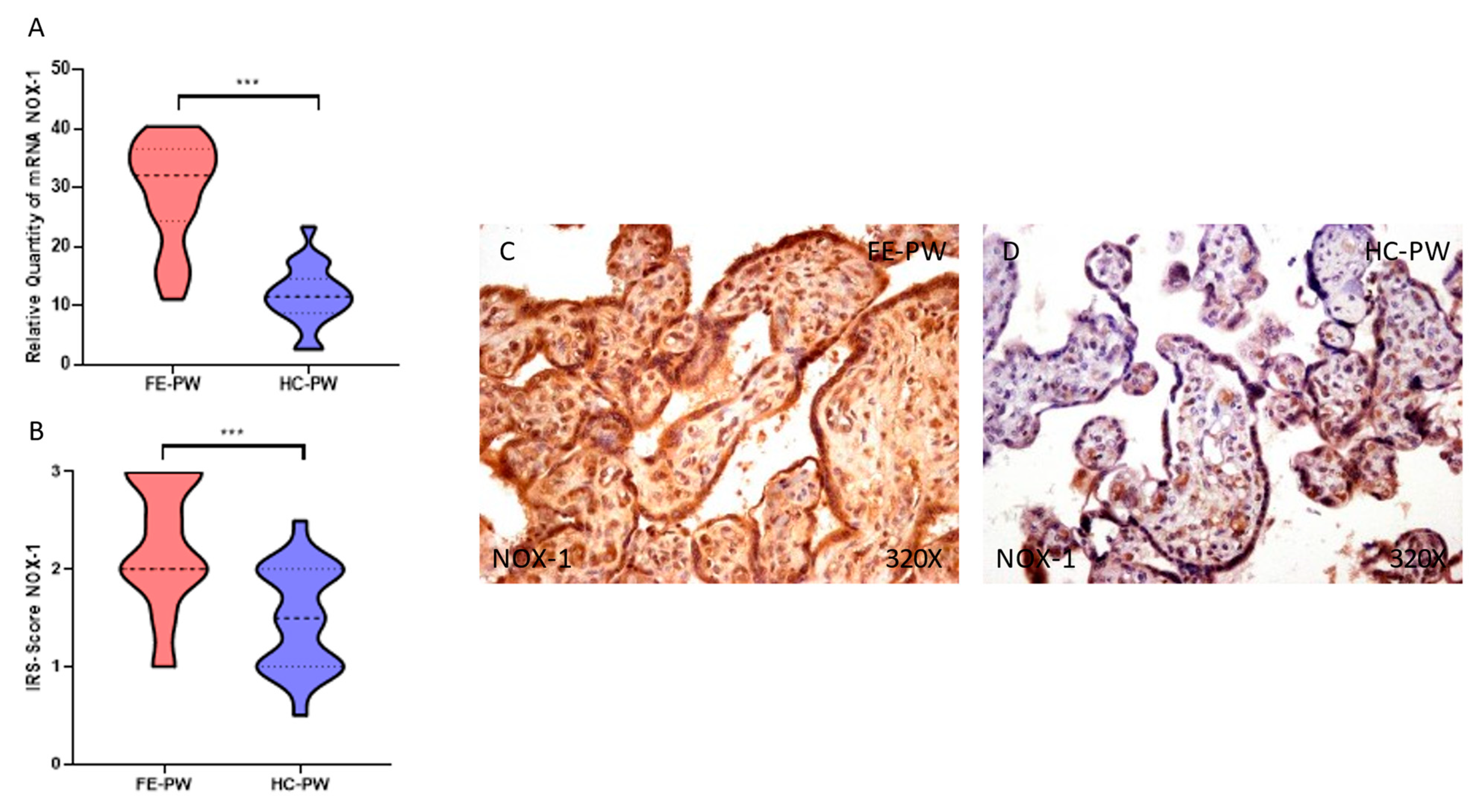 Antioxidants 12 00179 g001 Antioxidants 12 00179 g001