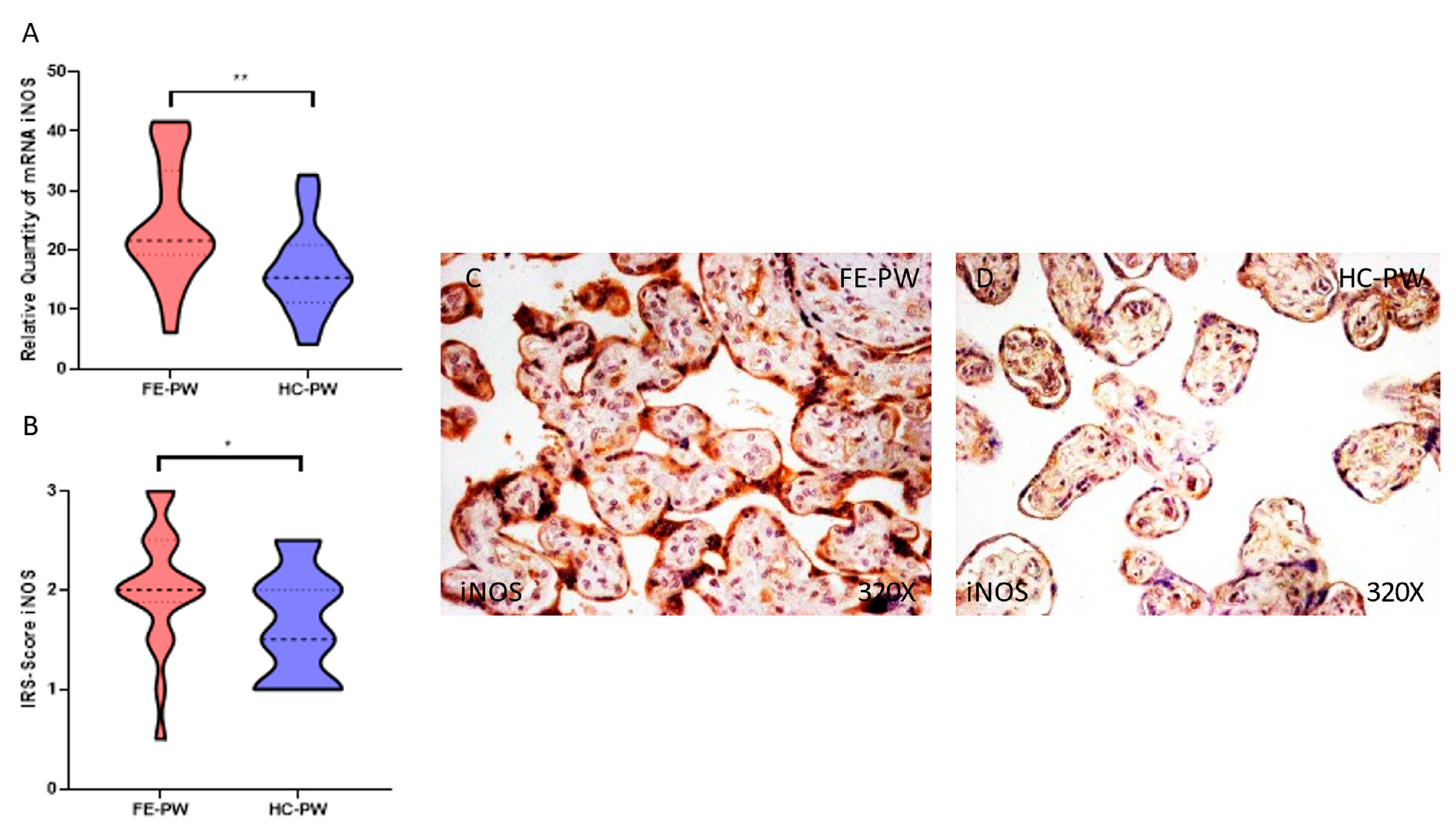 Antioxidants 12 00179 g003 Antioxidants 12 00179 g003