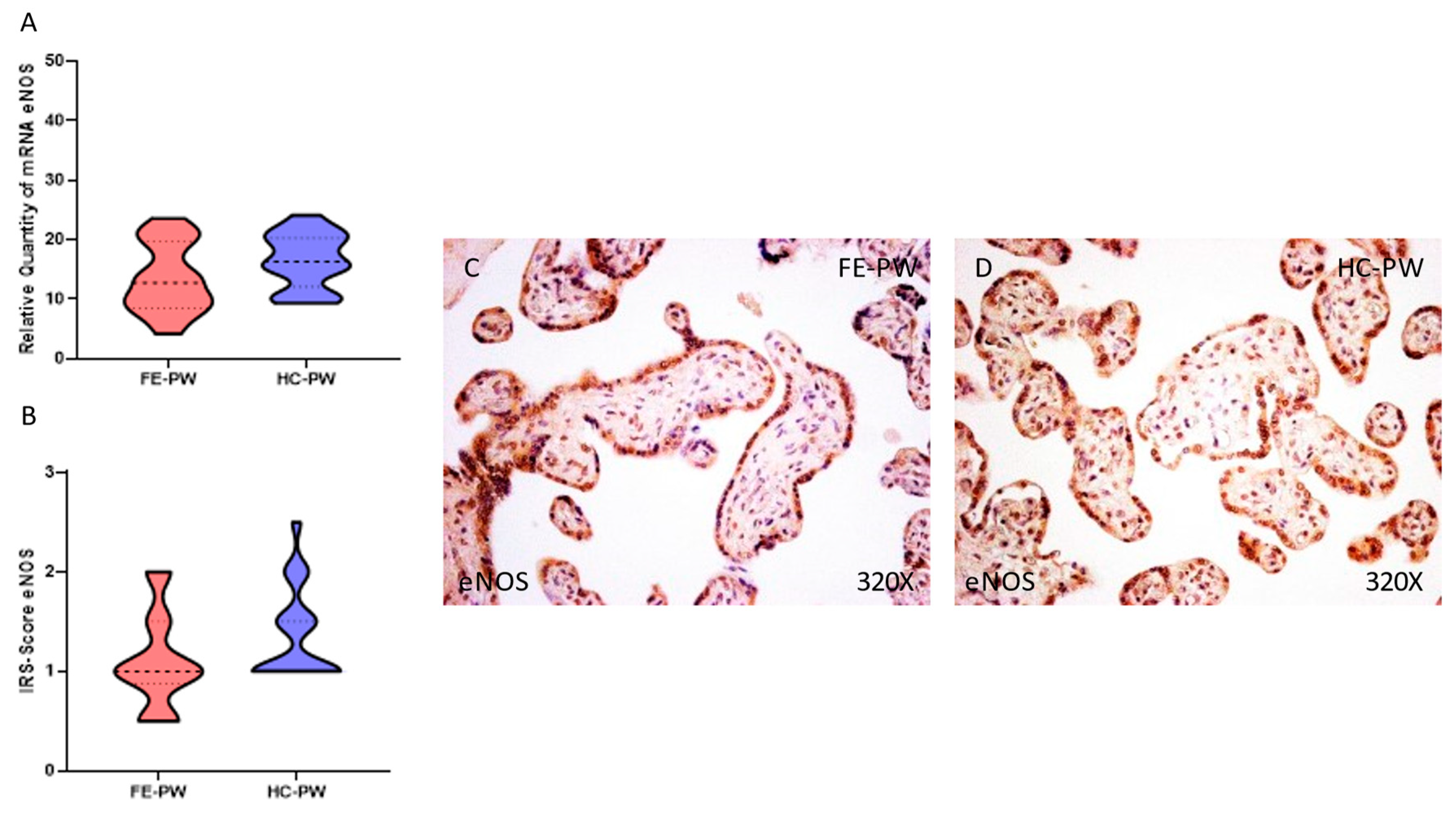 Antioxidants 12 00179 g004 Antioxidants 12 00179 g004