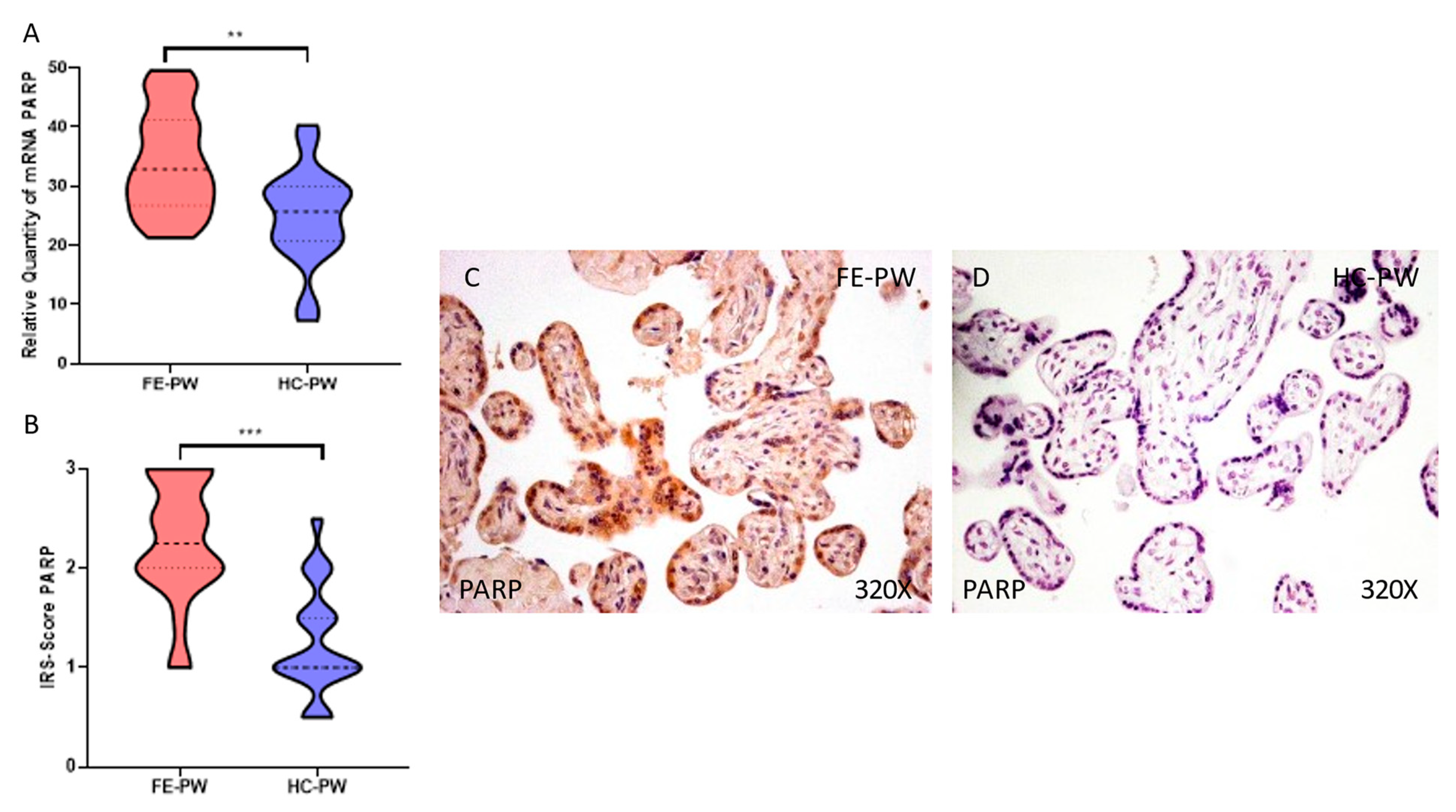 Antioxidants 12 00179 g005 Antioxidants 12 00179 g005