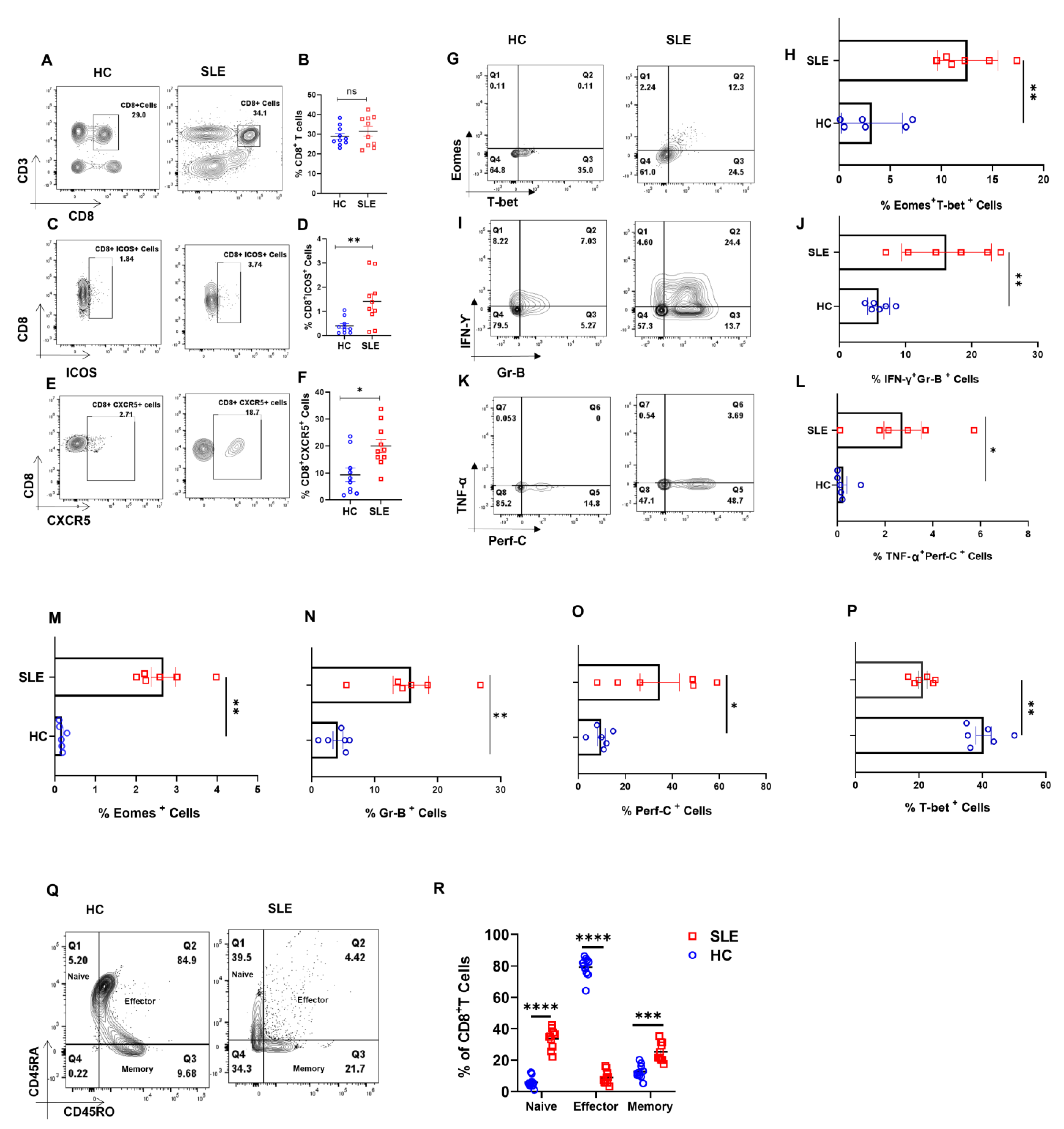 Antioxidants 12 00181 g001 Antioxidants 12 00181 g001