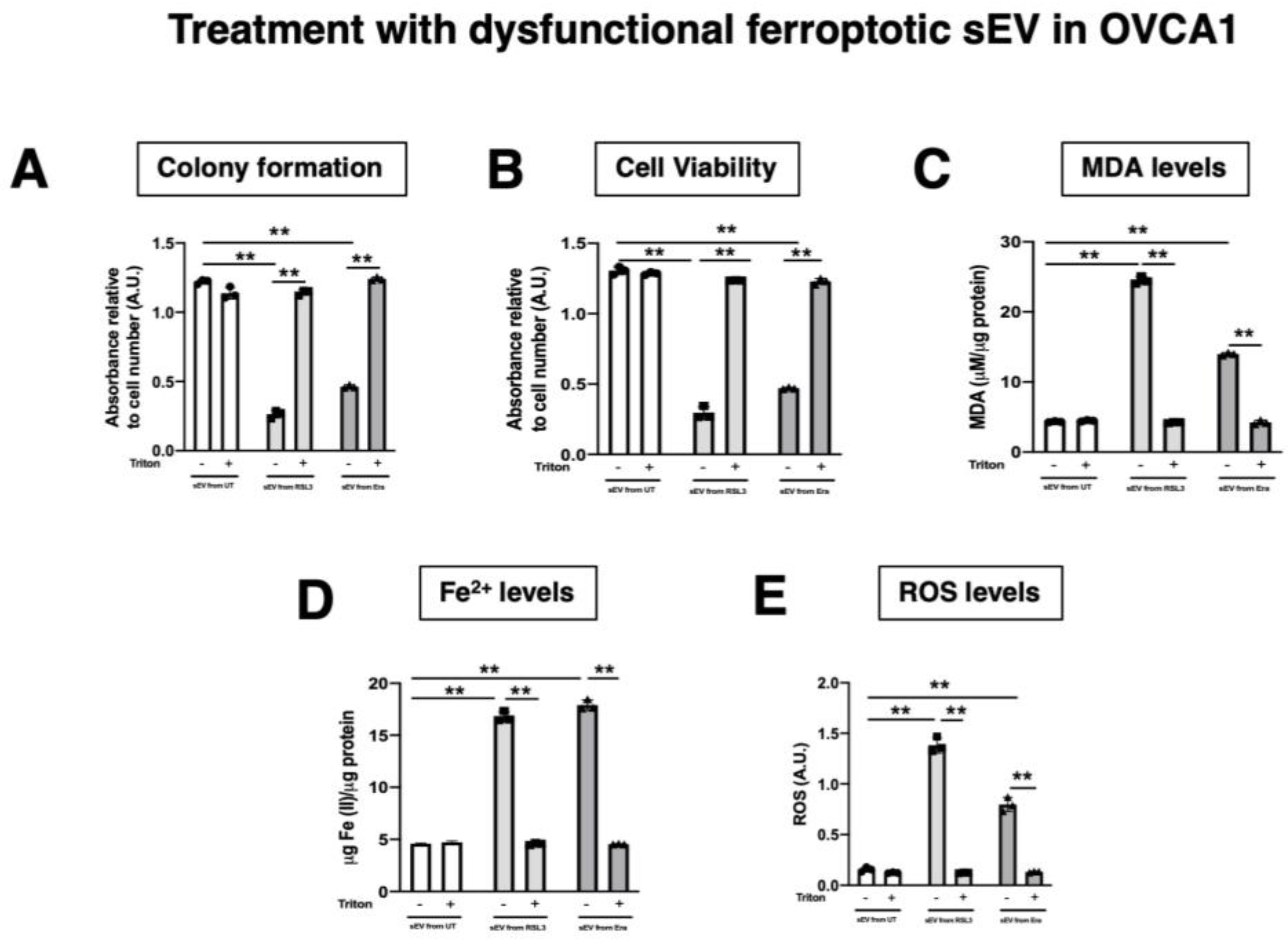 Antioxidants 12 00183 g008