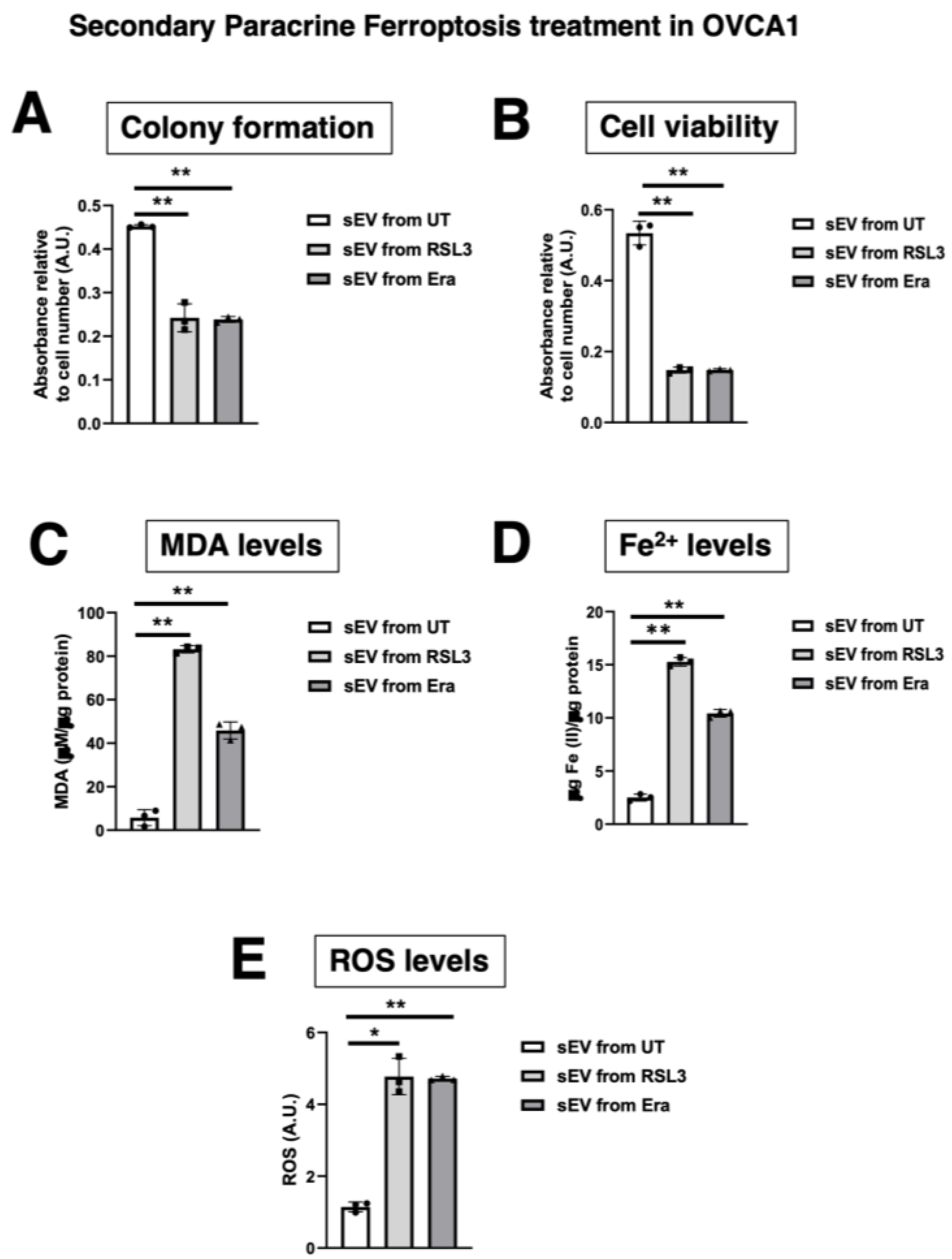 Antioxidants 12 00183 g014