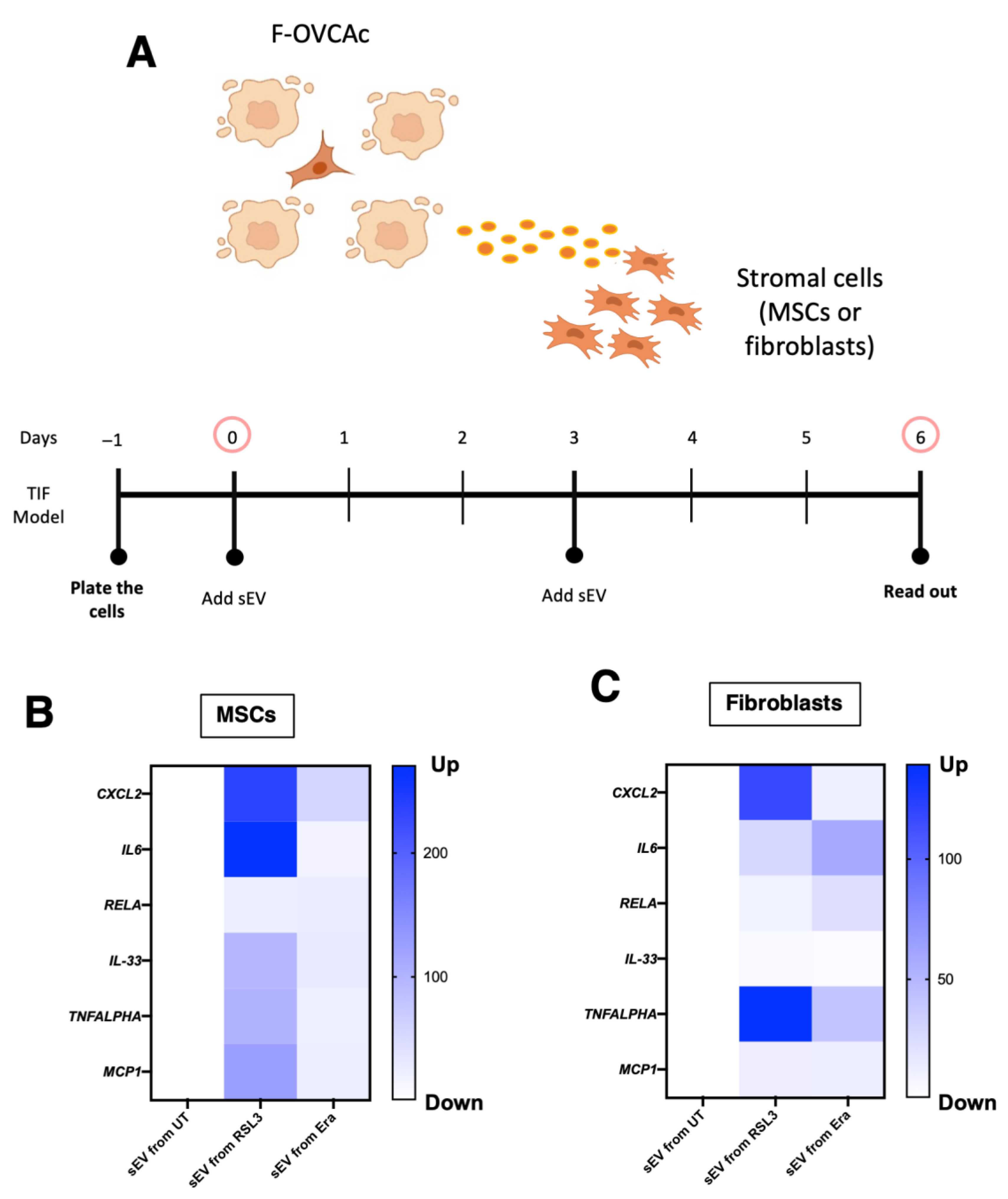 Antioxidants 12 00183 g018