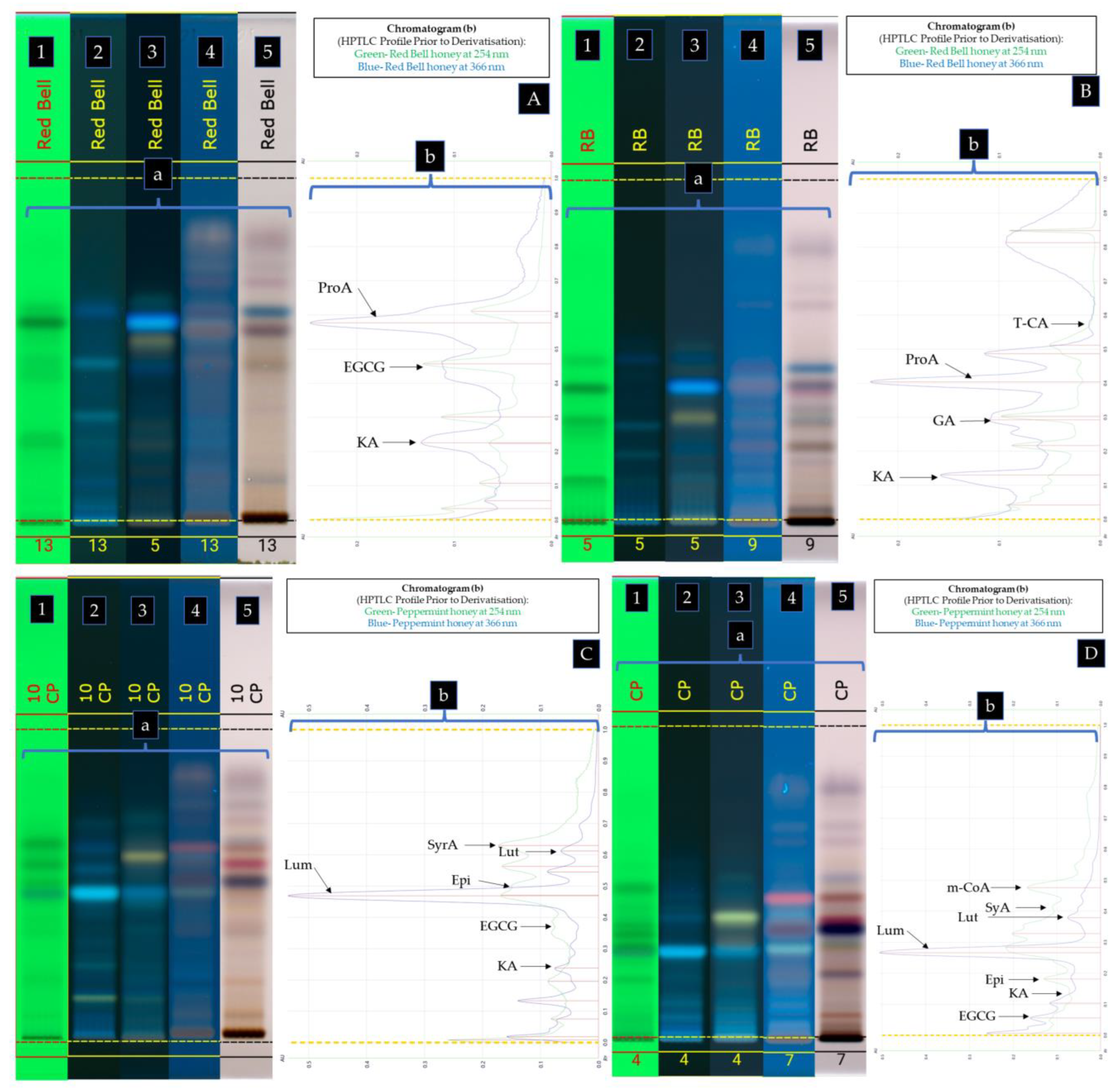 Antioxidants 12 00189 g003