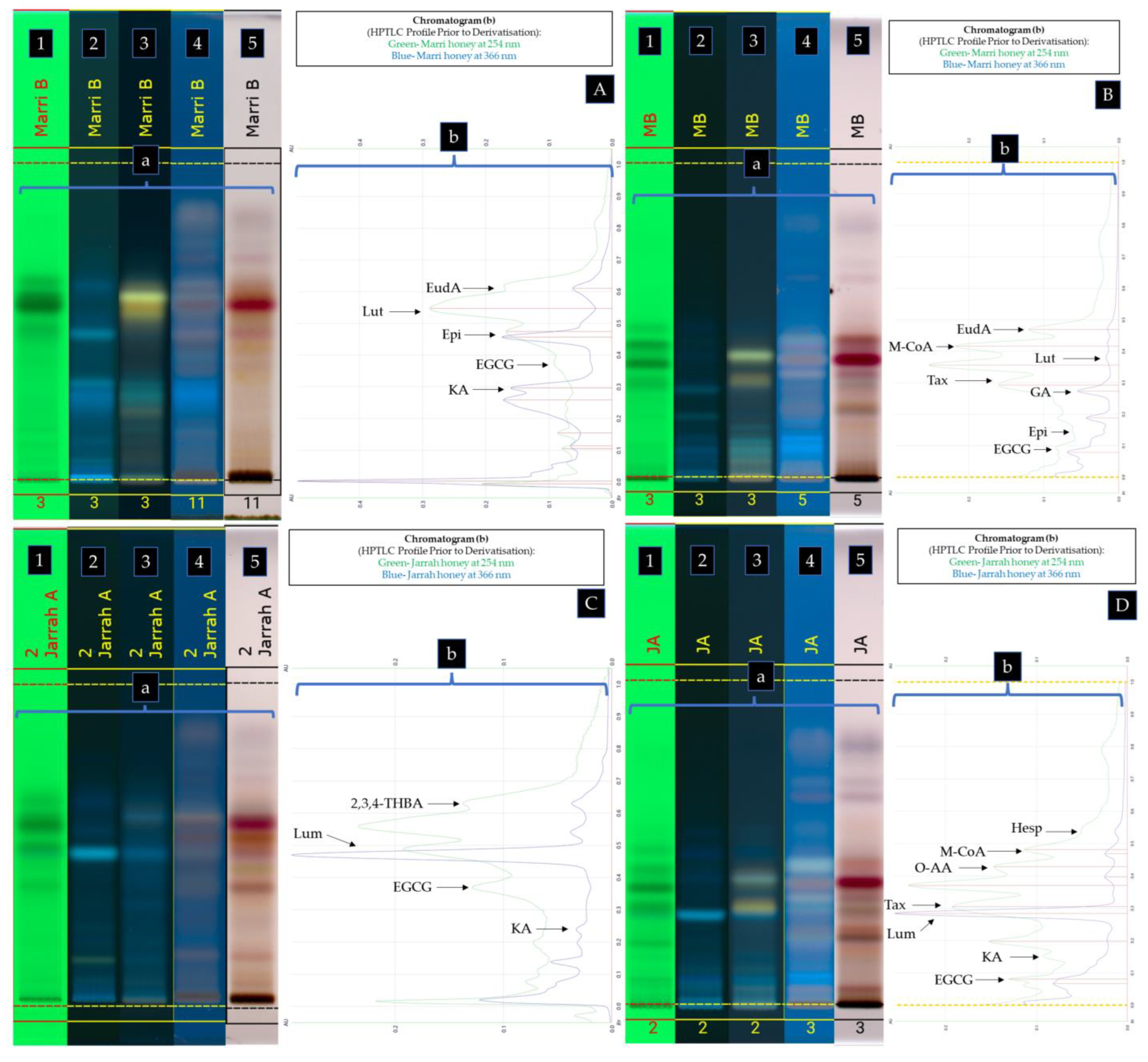 Antioxidants 12 00189 g006