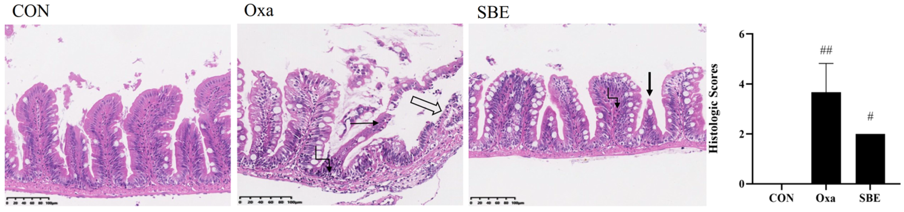 Antioxidants 12 00192 g002