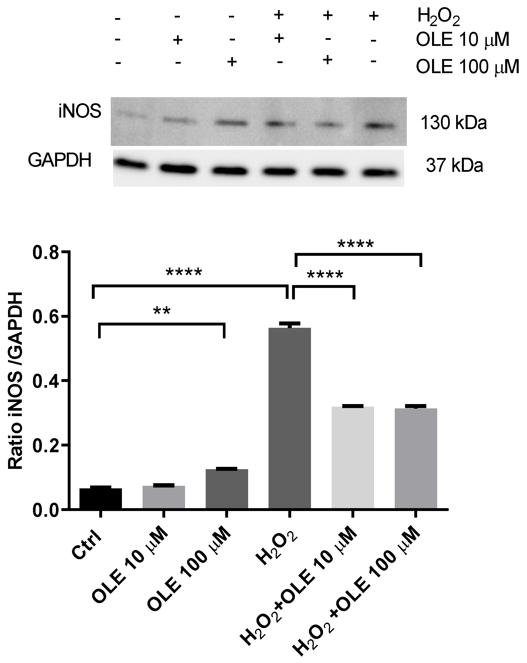 Antioxidants 12 00197 g006 Antioxidants 12 00197 g006