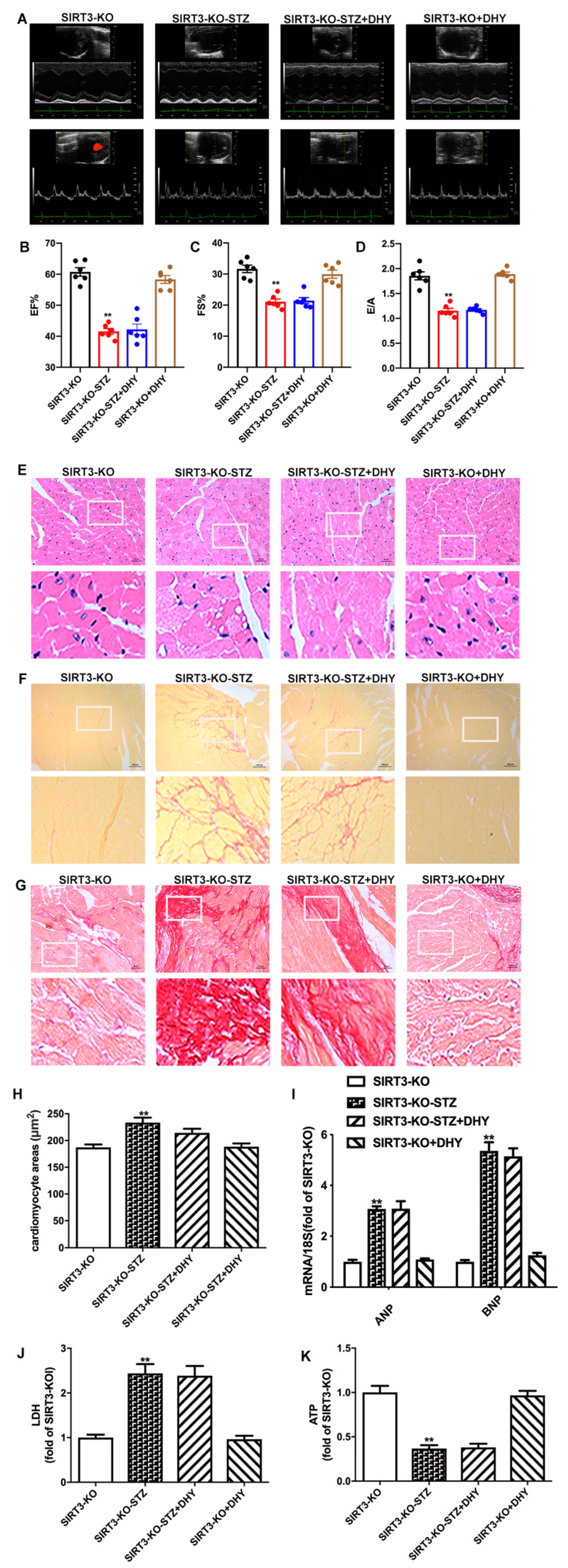 Antioxidants 12 00200 g007 Antioxidants 12 00200 g007