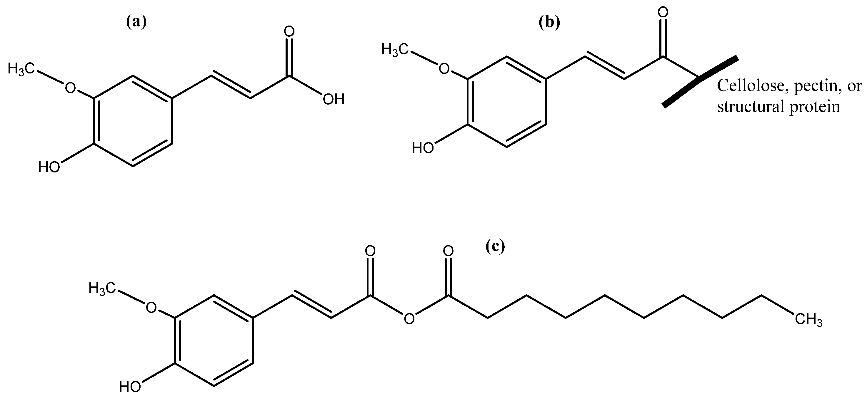 Antioxidants 12 00203 g001 Antioxidants 12 00203 g001