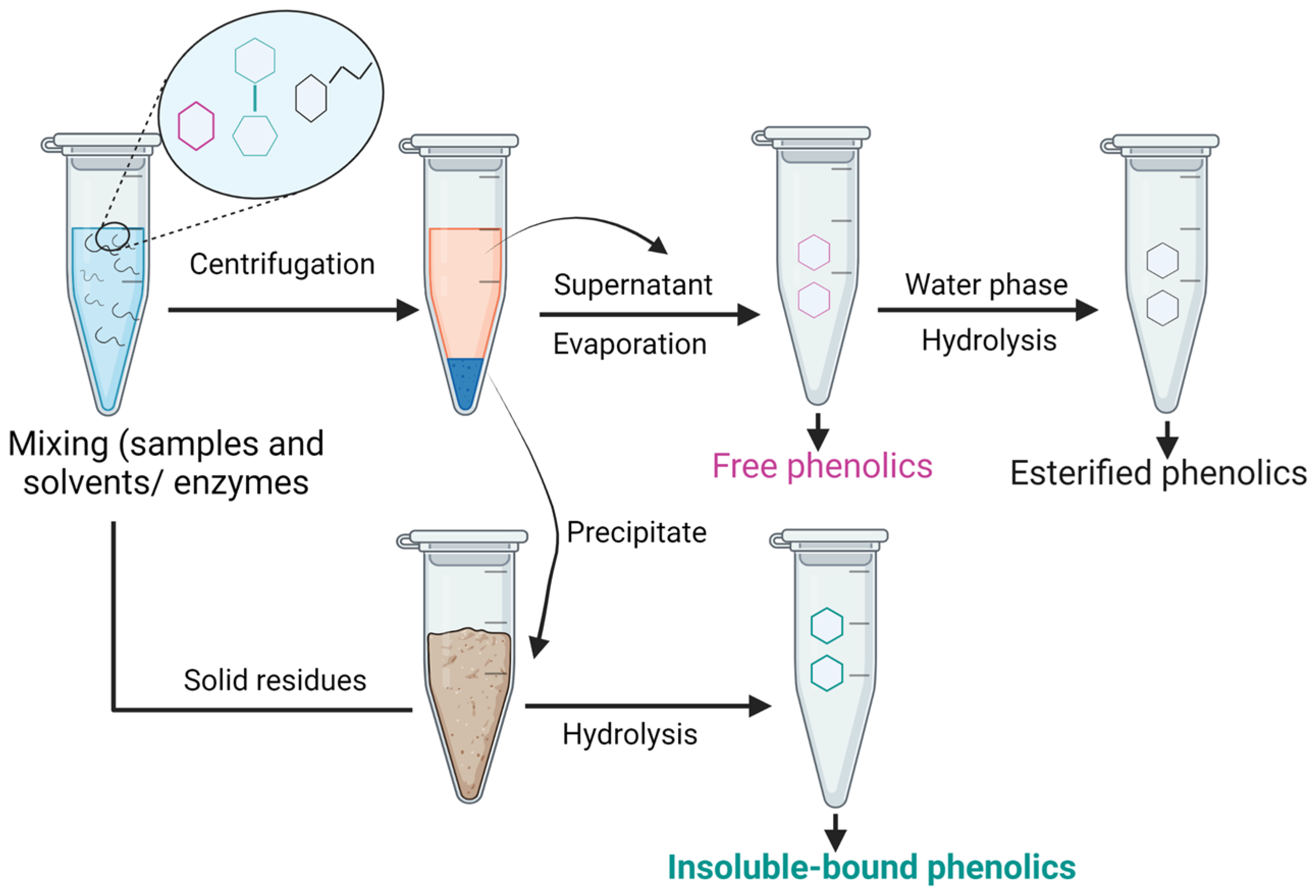 Antioxidants 12 00203 g005 Antioxidants 12 00203 g005