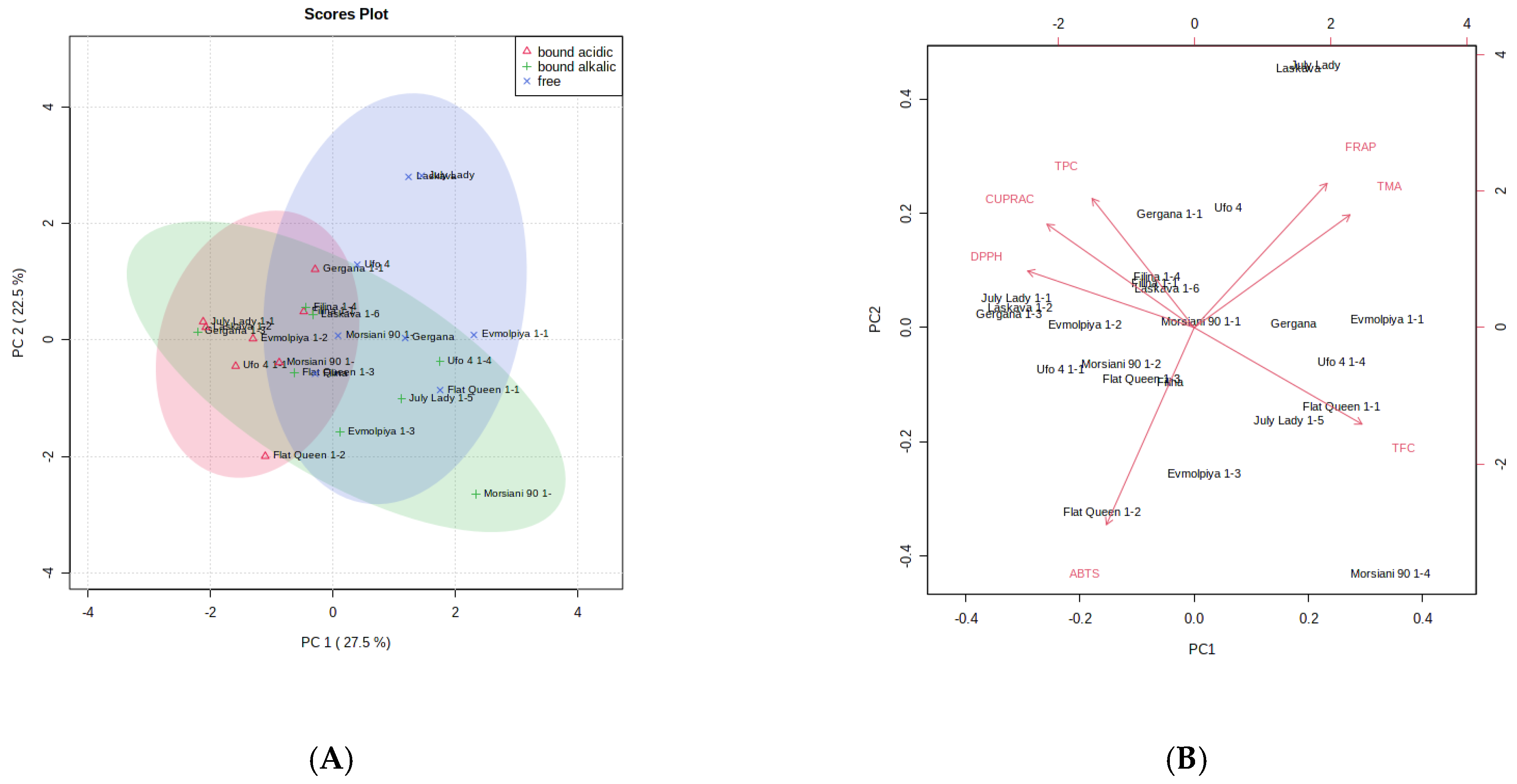 Antioxidants 12 00205 g004