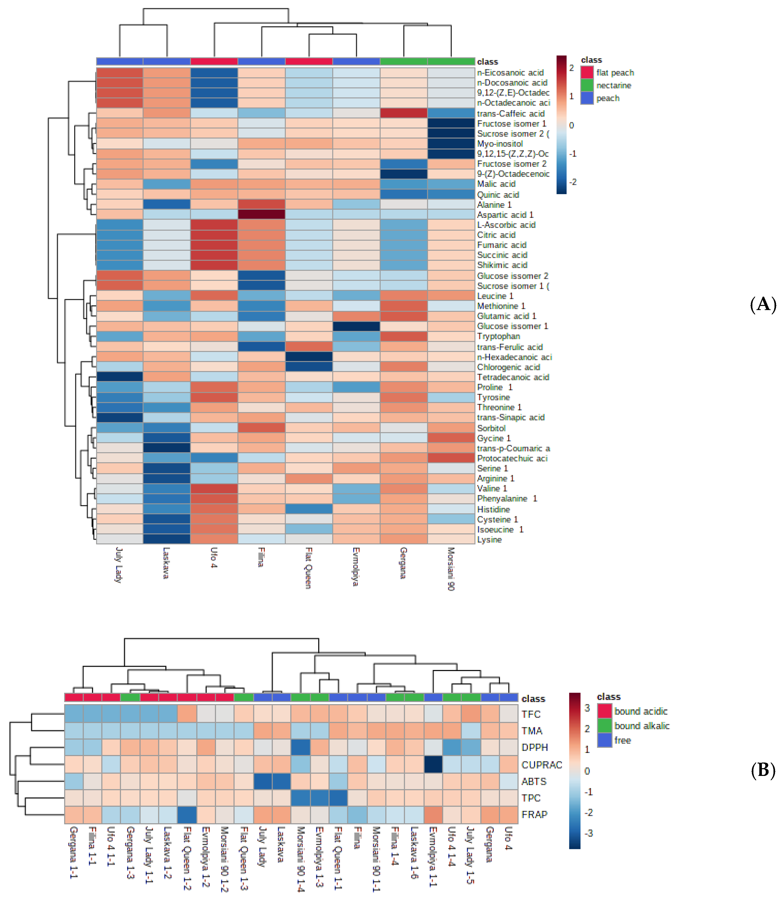 Antioxidants 12 00205 g005
