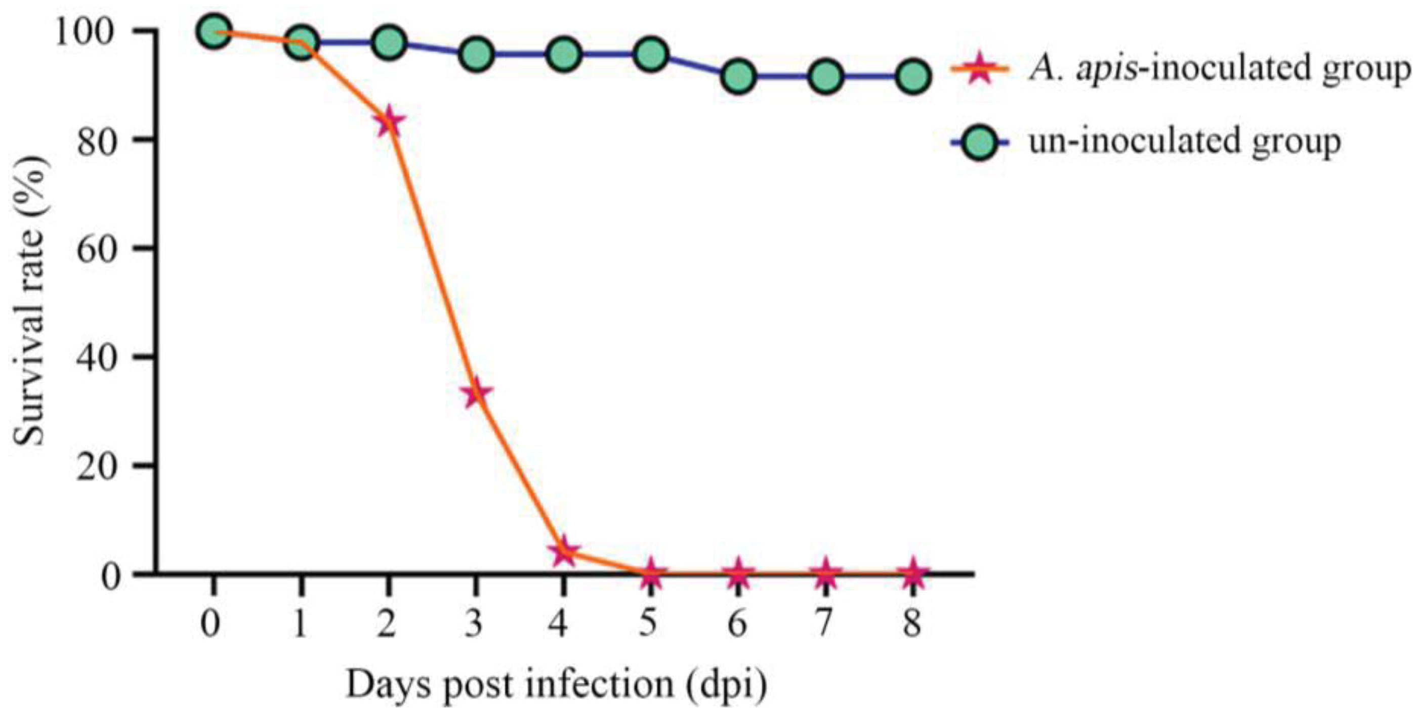 Antioxidants 12 00206 g002