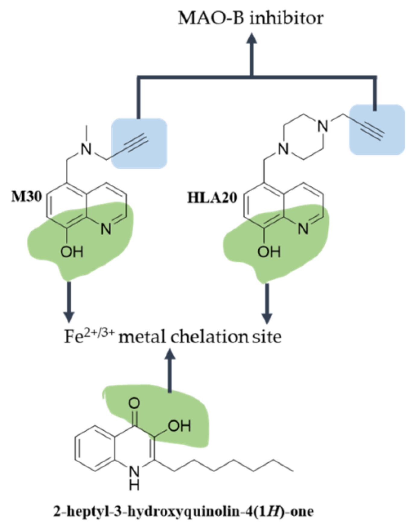 Antioxidants 12 00214 g005