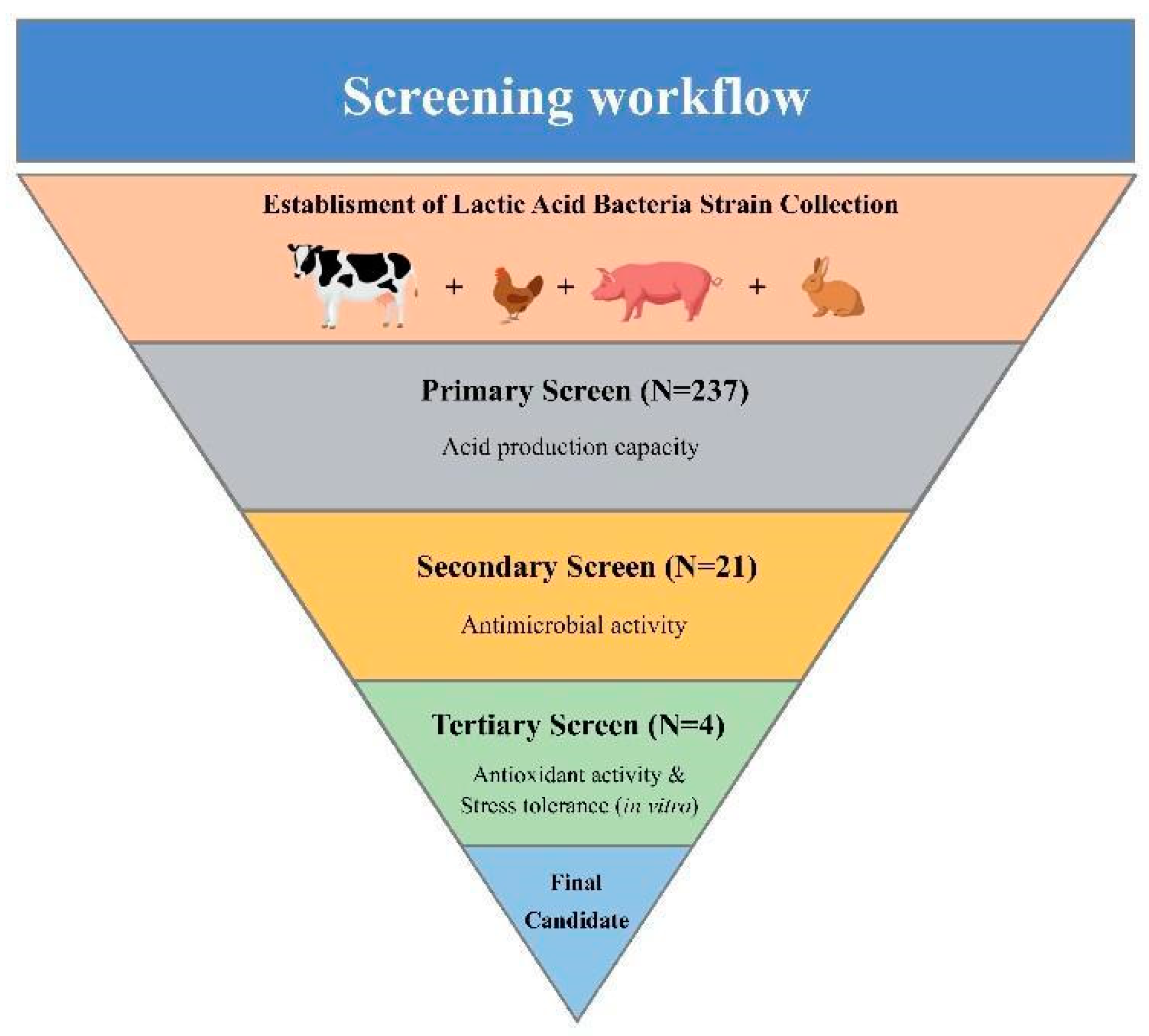 Antioxidants 12 00215 g001