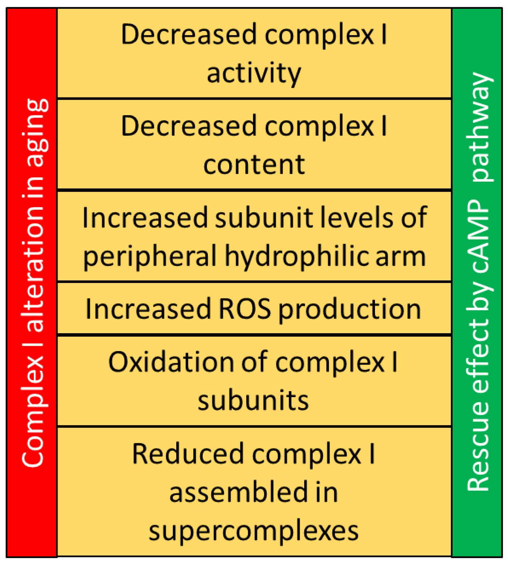 Antioxidants 12 00221 g002 Antioxidants 12 00221 g002