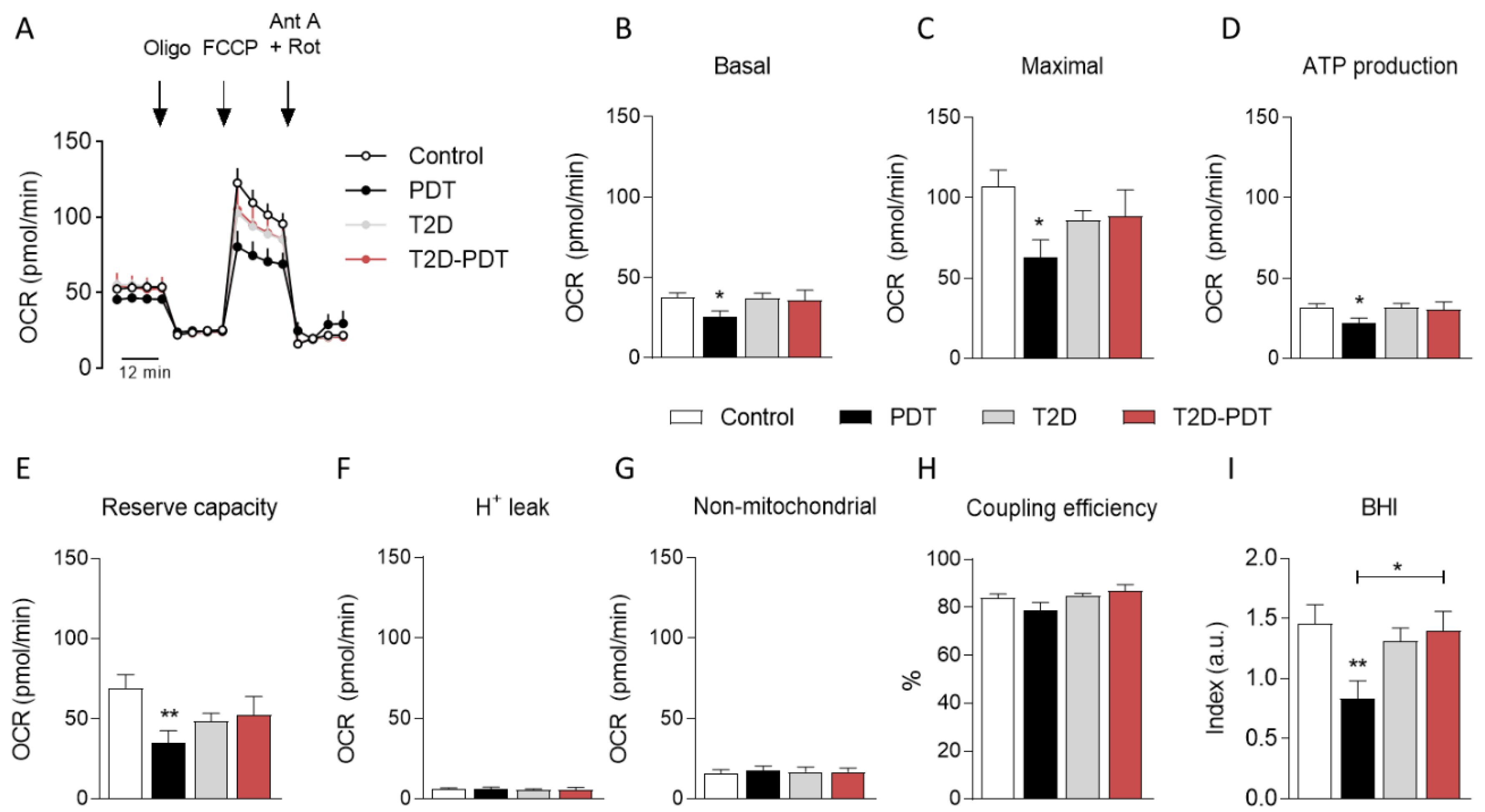 Antioxidants 12 00226 g002 Antioxidants 12 00226 g002