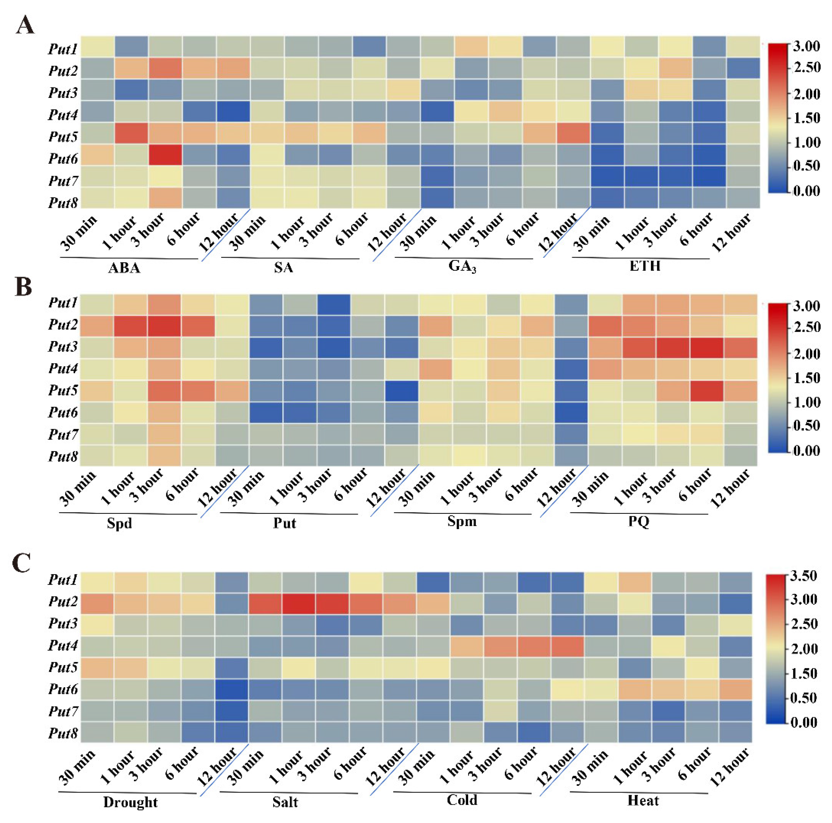 Antioxidants 12 00228 g002 Antioxidants 12 00228 g002