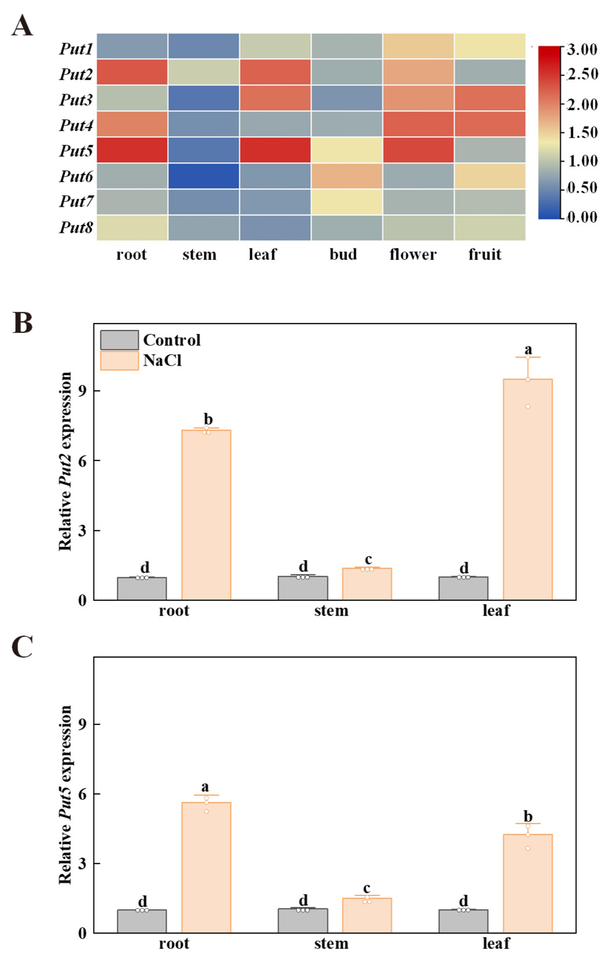 Antioxidants 12 00228 g003 Antioxidants 12 00228 g003