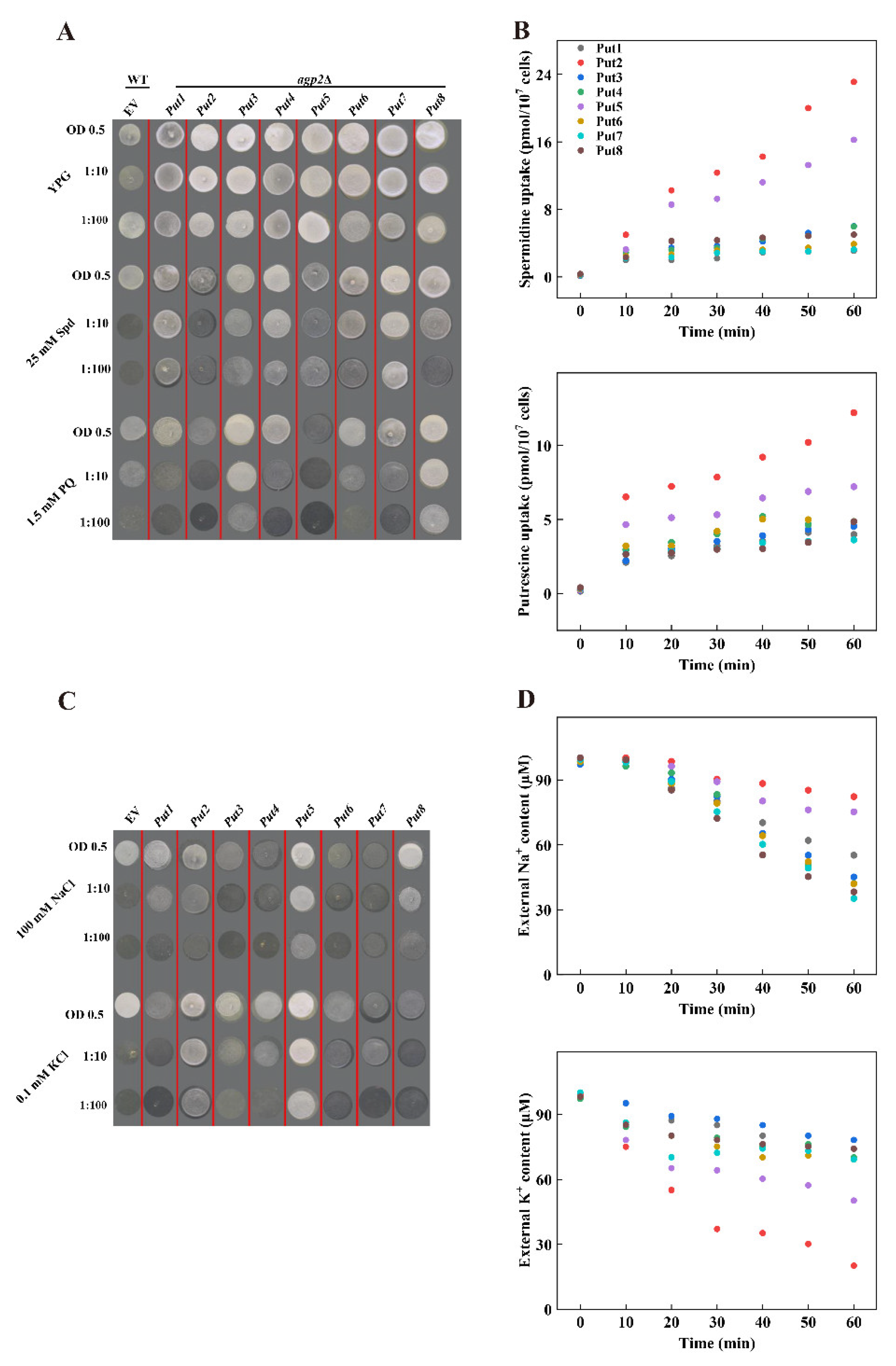 Antioxidants 12 00228 g004 Antioxidants 12 00228 g004