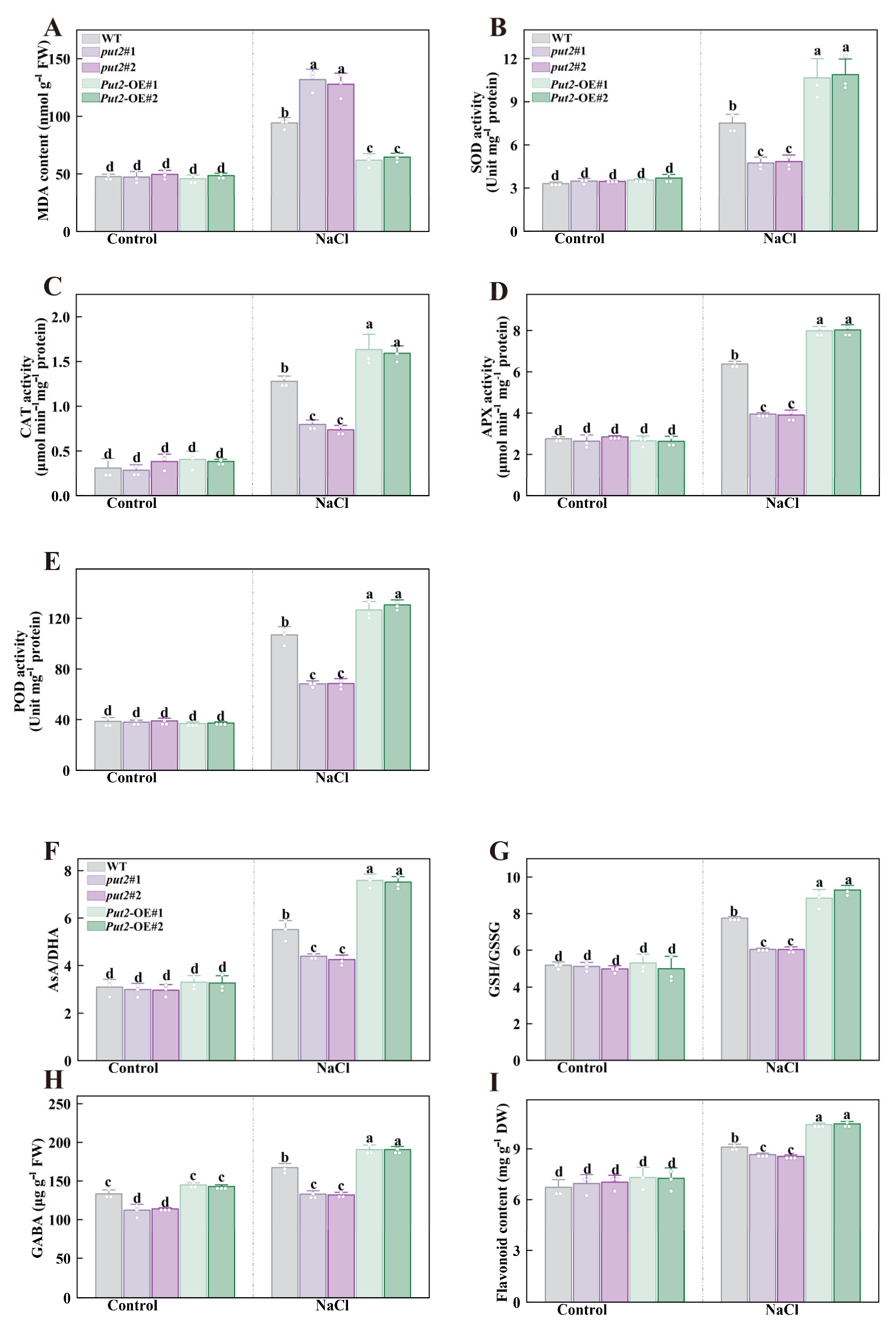 Antioxidants 12 00228 g007 Antioxidants 12 00228 g007