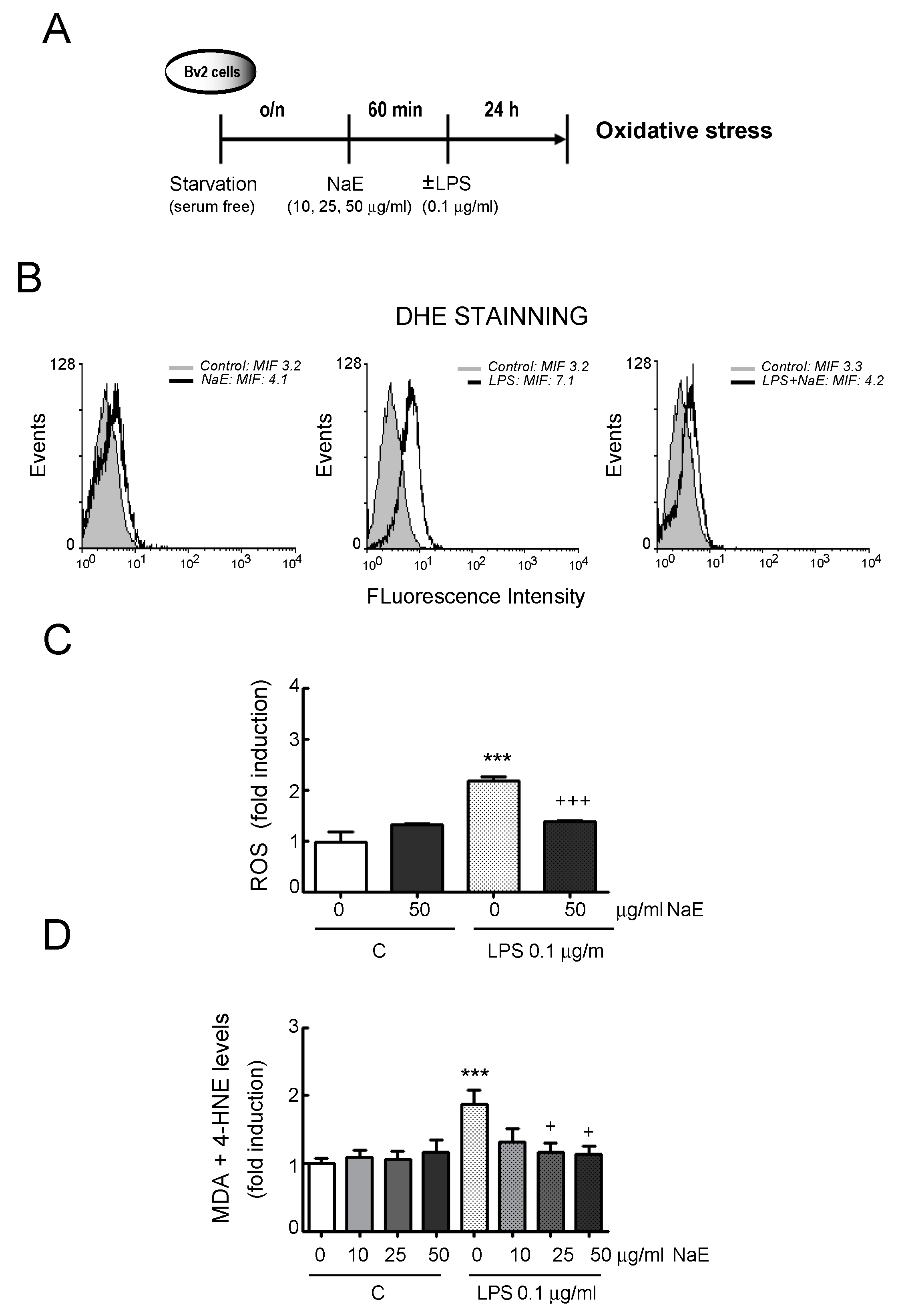 Antioxidants 12 00232 g005