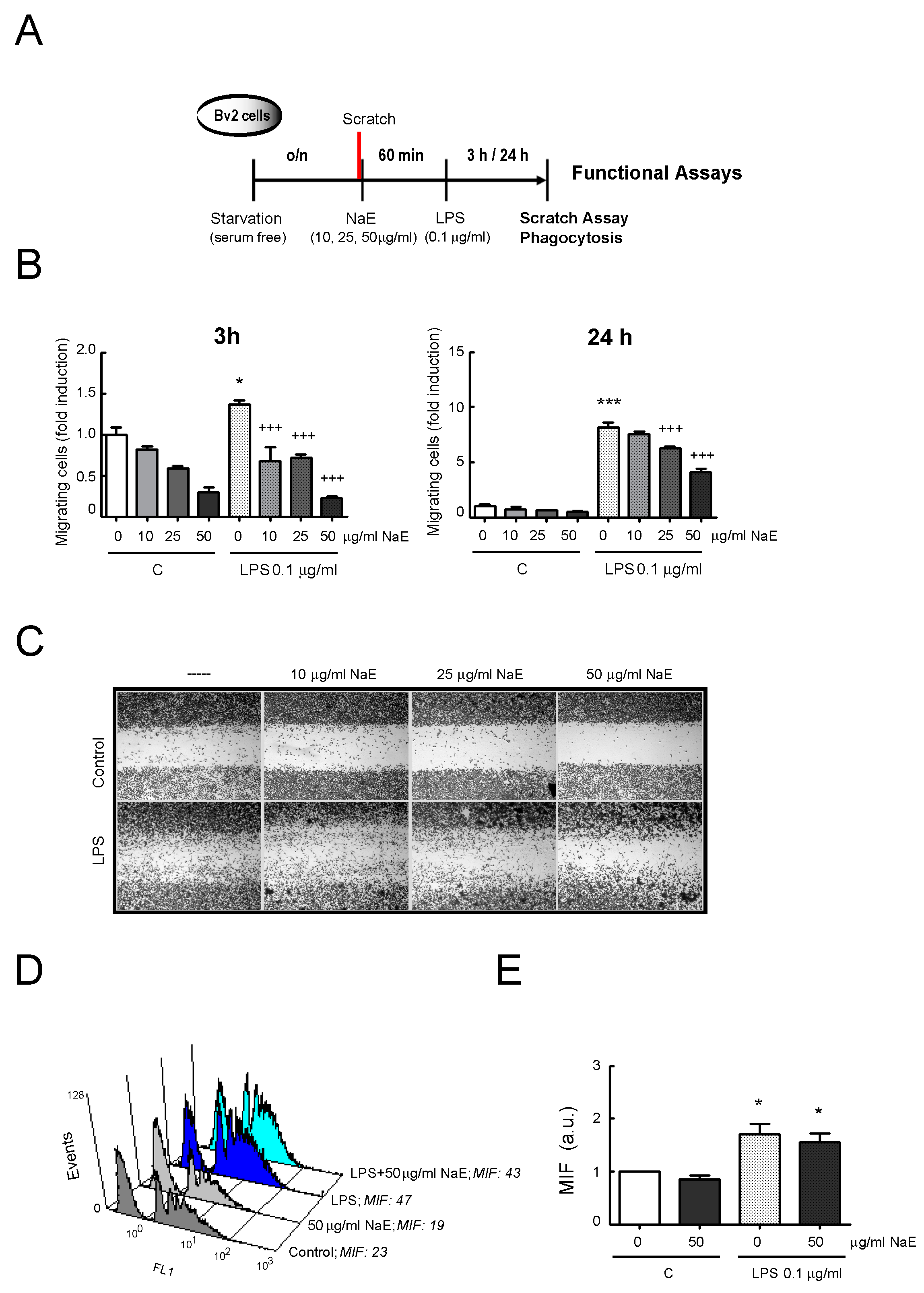 Antioxidants 12 00232 g006