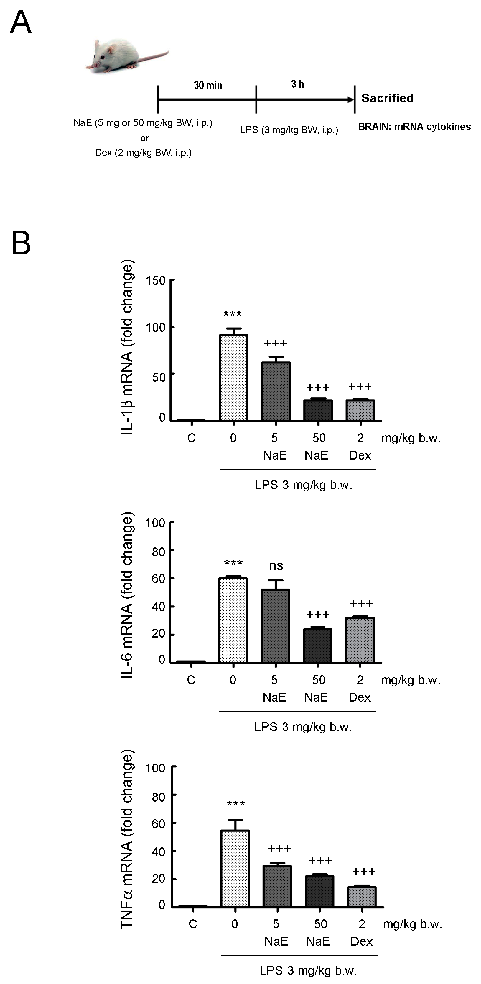 Antioxidants 12 00232 g007