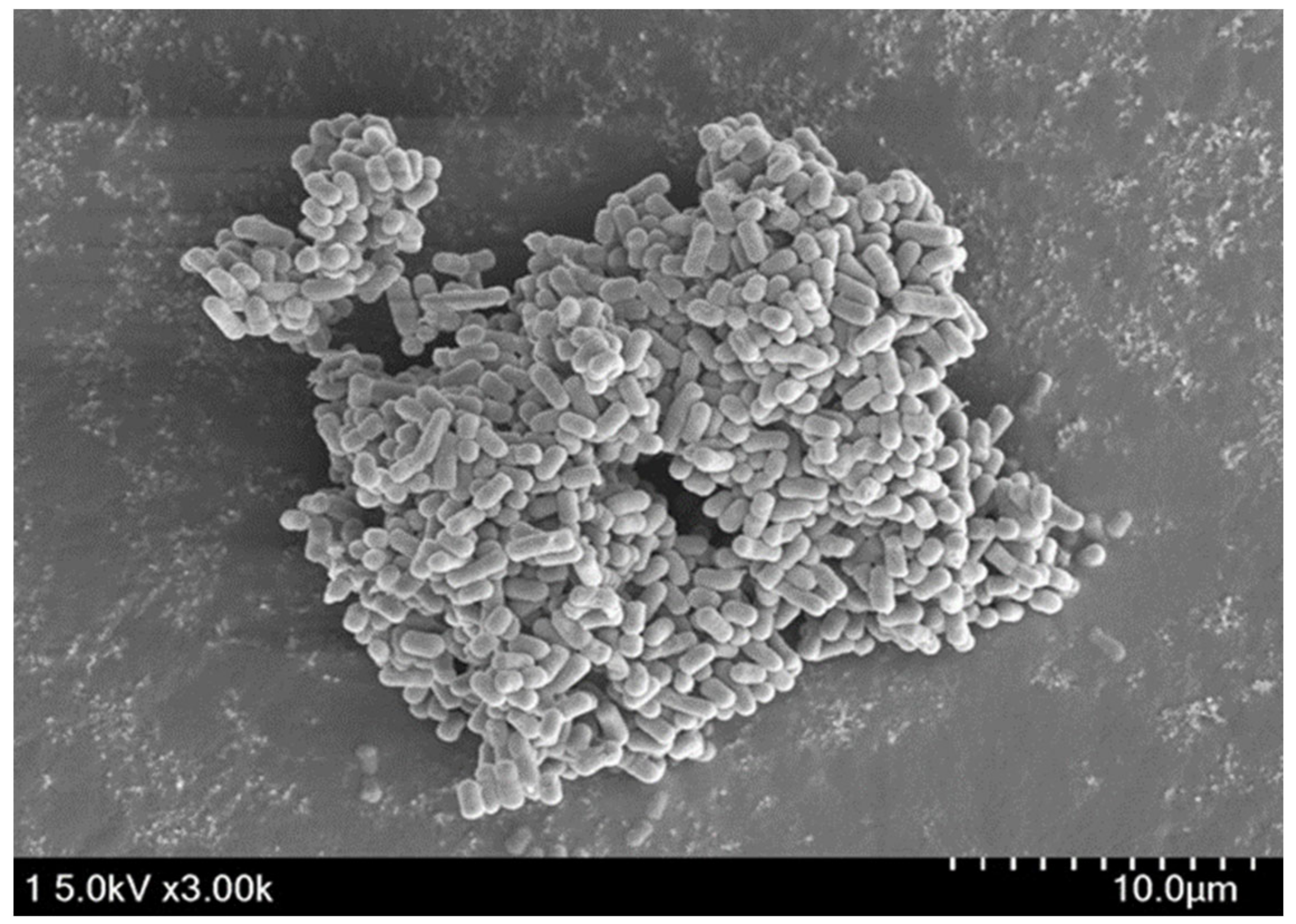 Antioxidants 12 00238 g004 Antioxidants 12 00238 g004