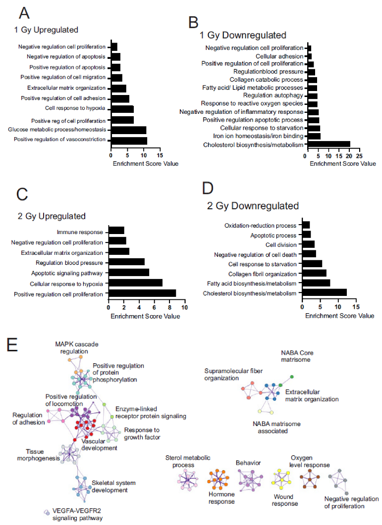 Antioxidants 12 00241 g003