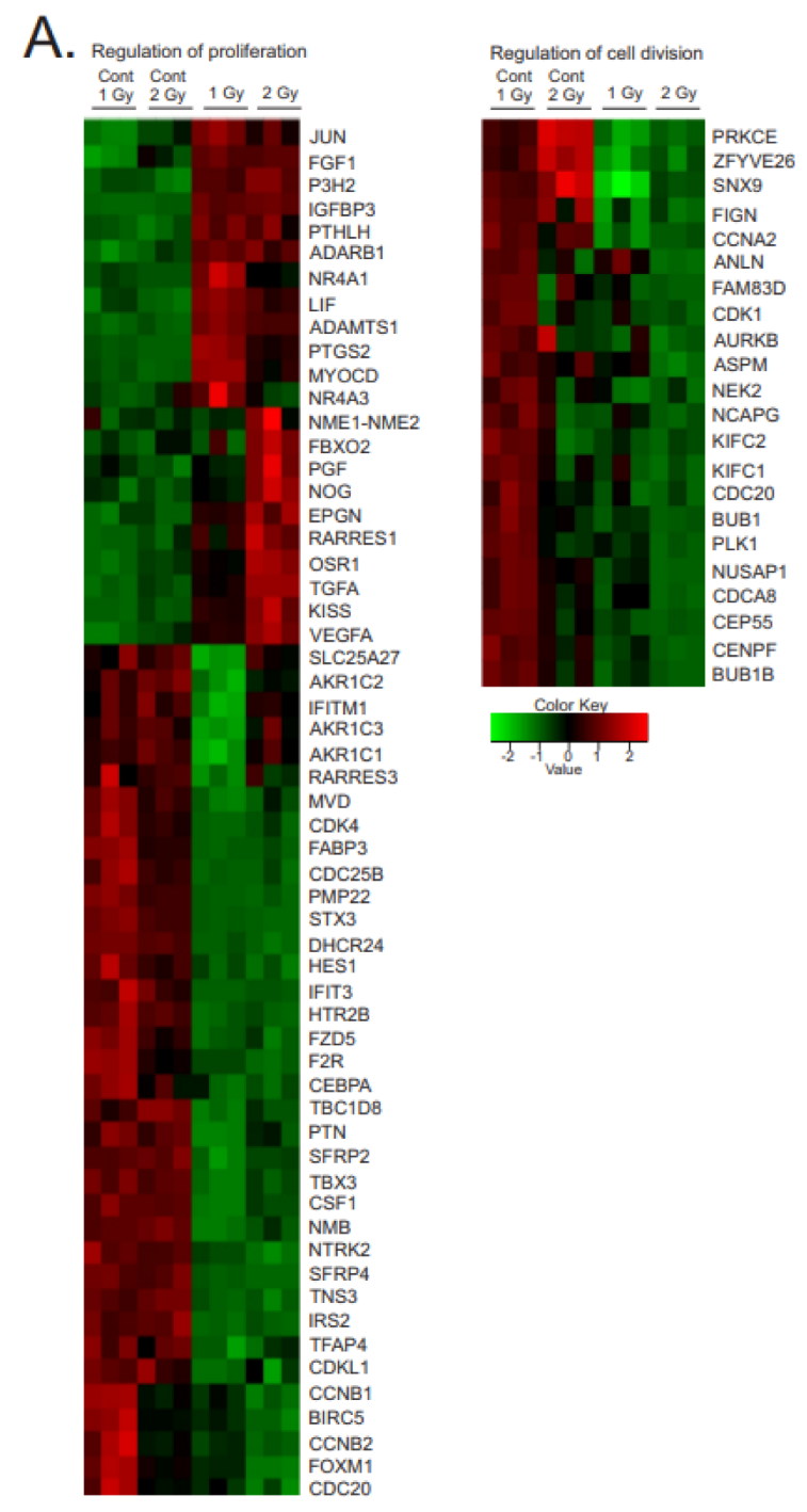 Antioxidants 12 00241 g005a