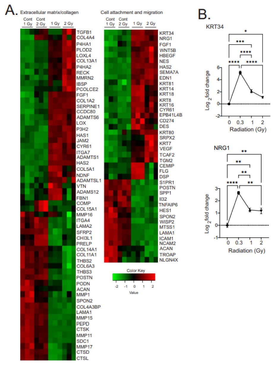 Antioxidants 12 00241 g007