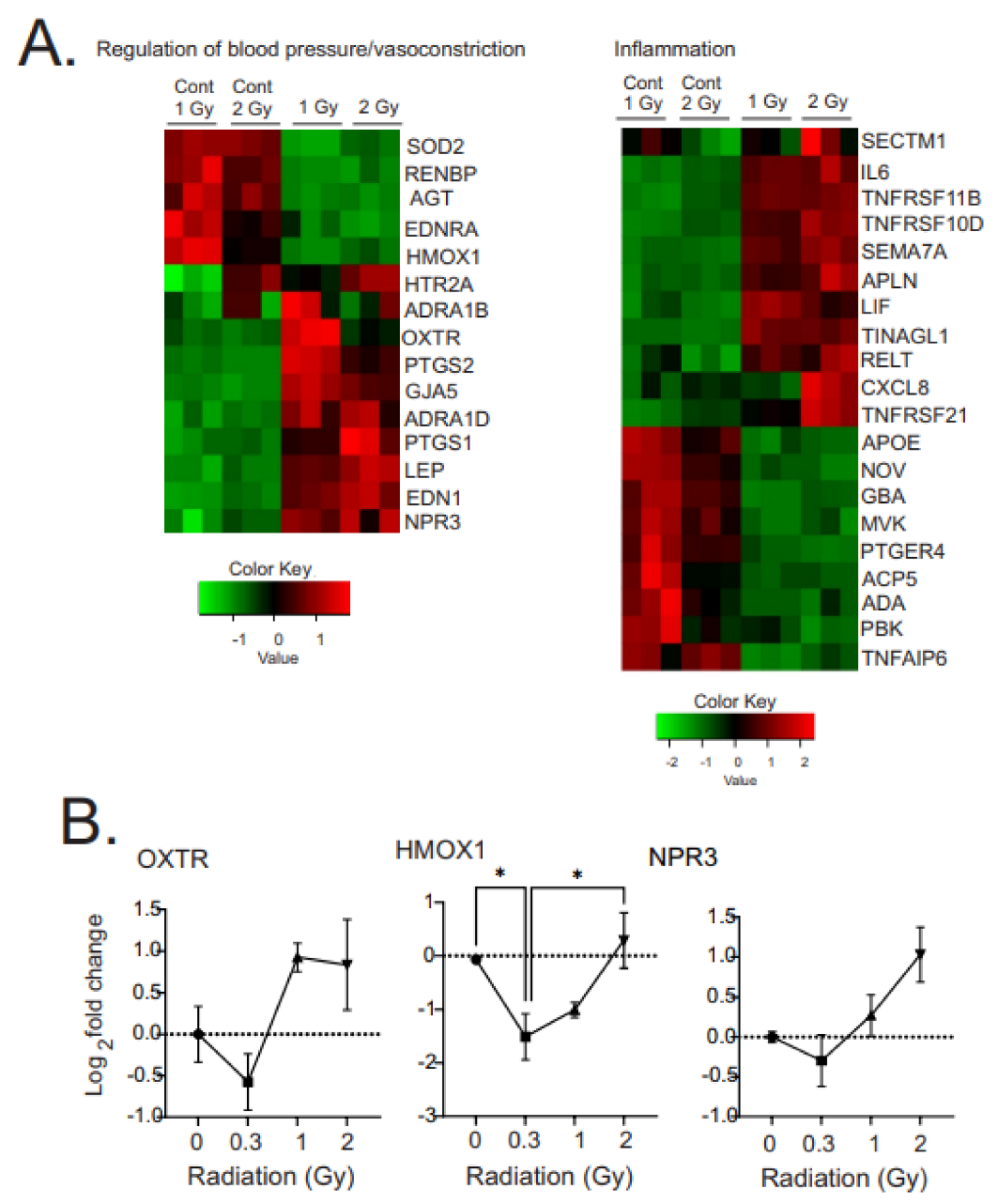 Antioxidants 12 00241 g008