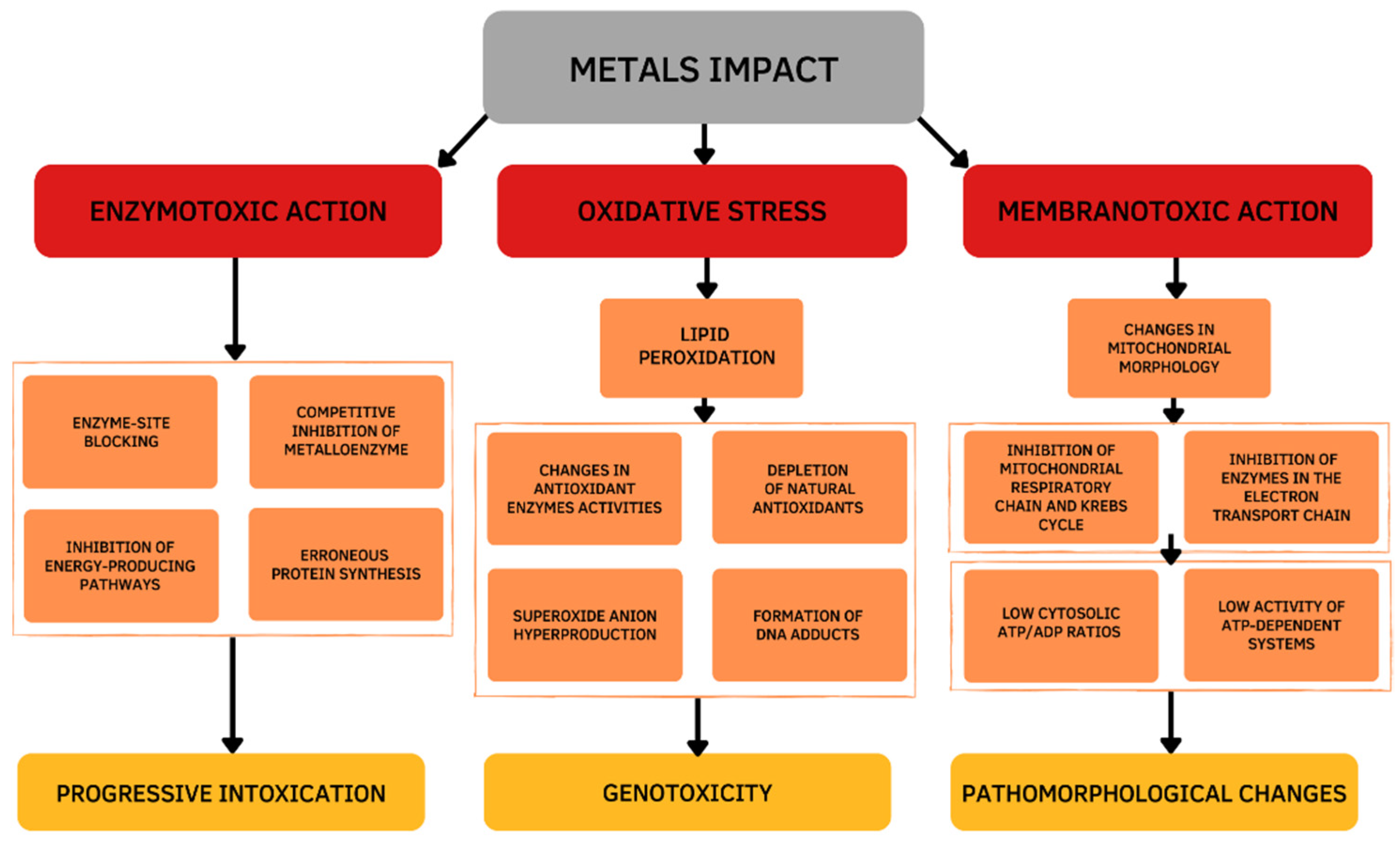 Antioxidants Free FullText A Review of the Role of Curcumin in