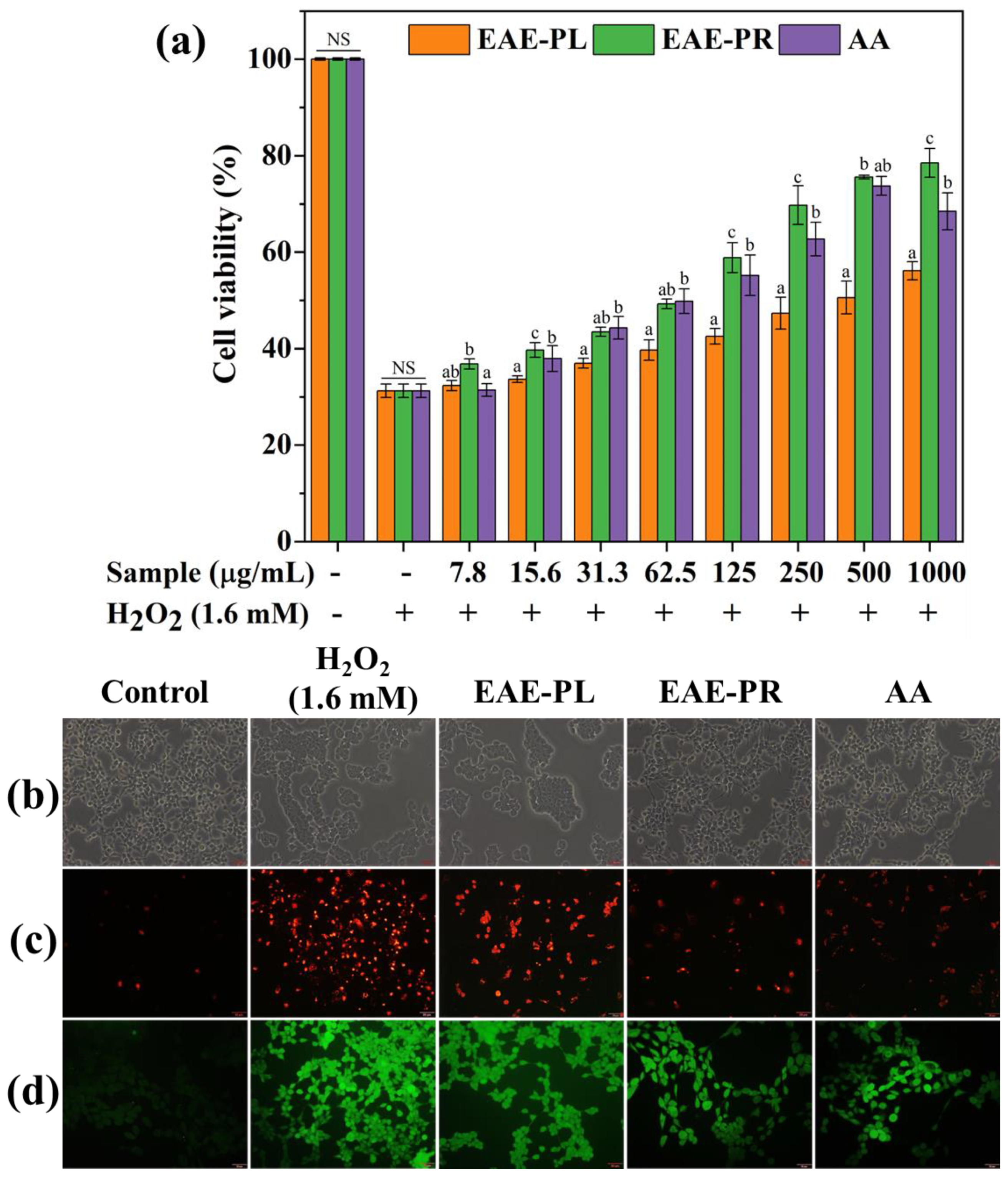 Antioxidants 12 00248 g003 Antioxidants 12 00248 g003