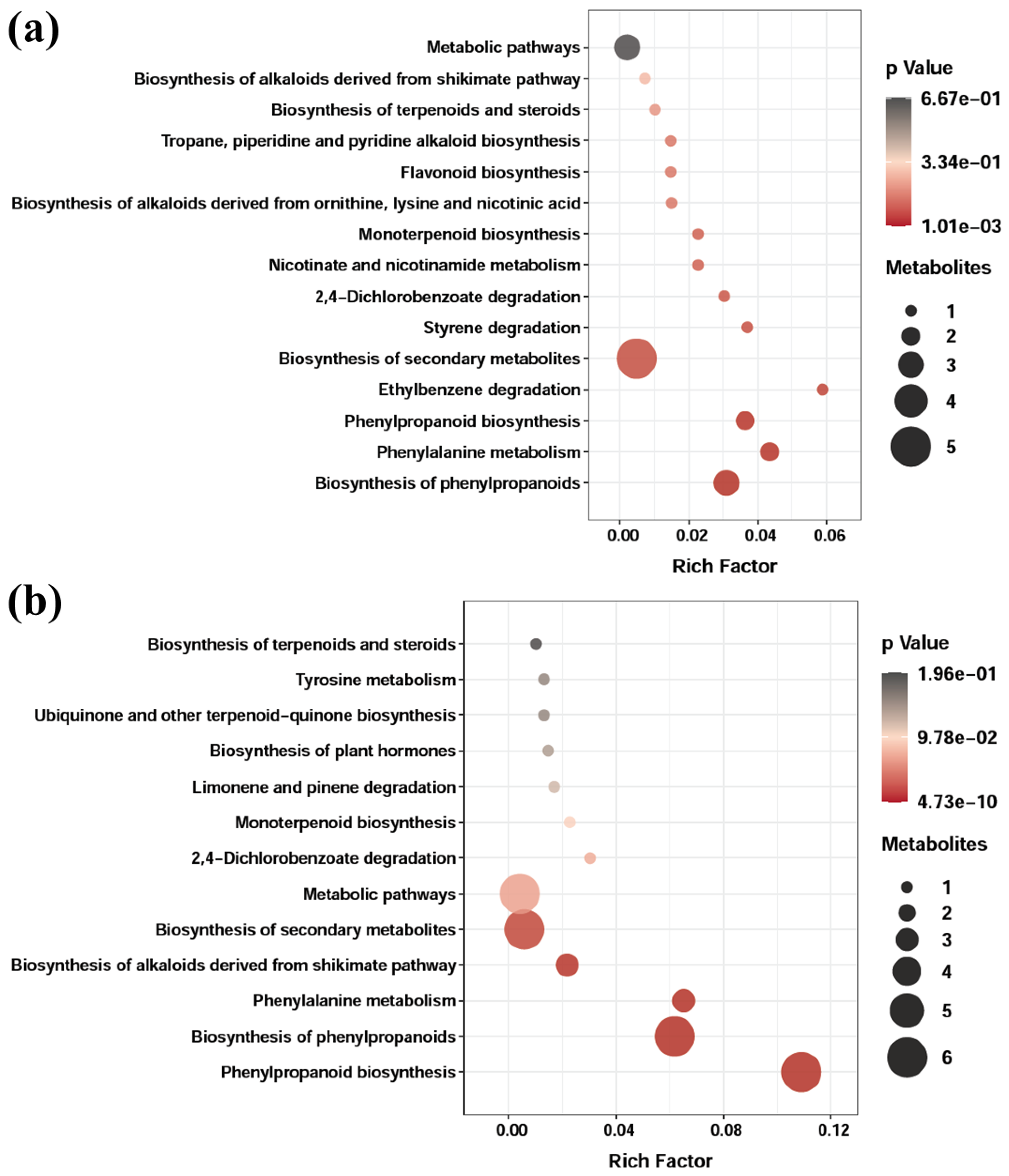 Antioxidants 12 00248 g005 Antioxidants 12 00248 g005