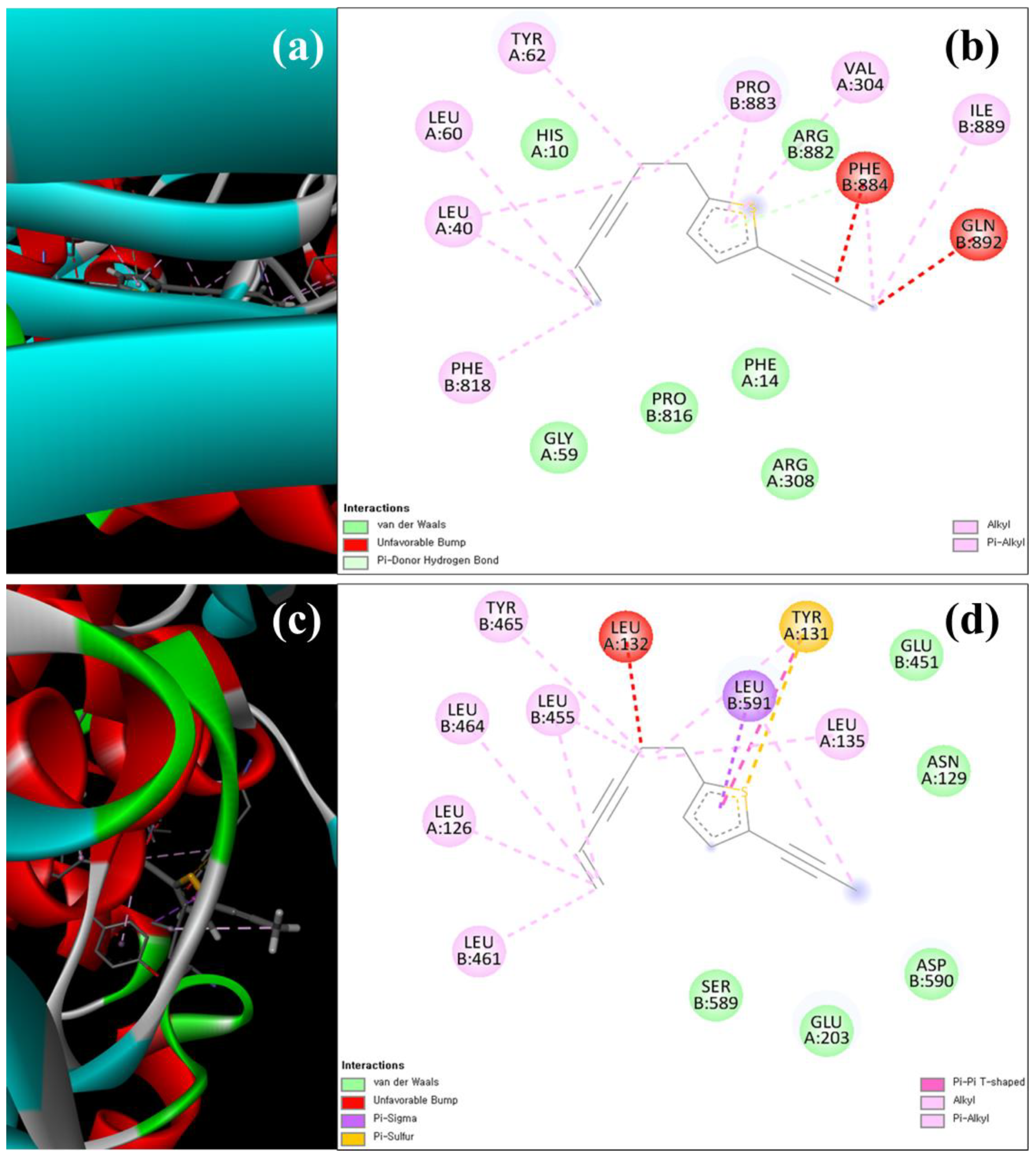 Antioxidants 12 00248 g007 Antioxidants 12 00248 g007