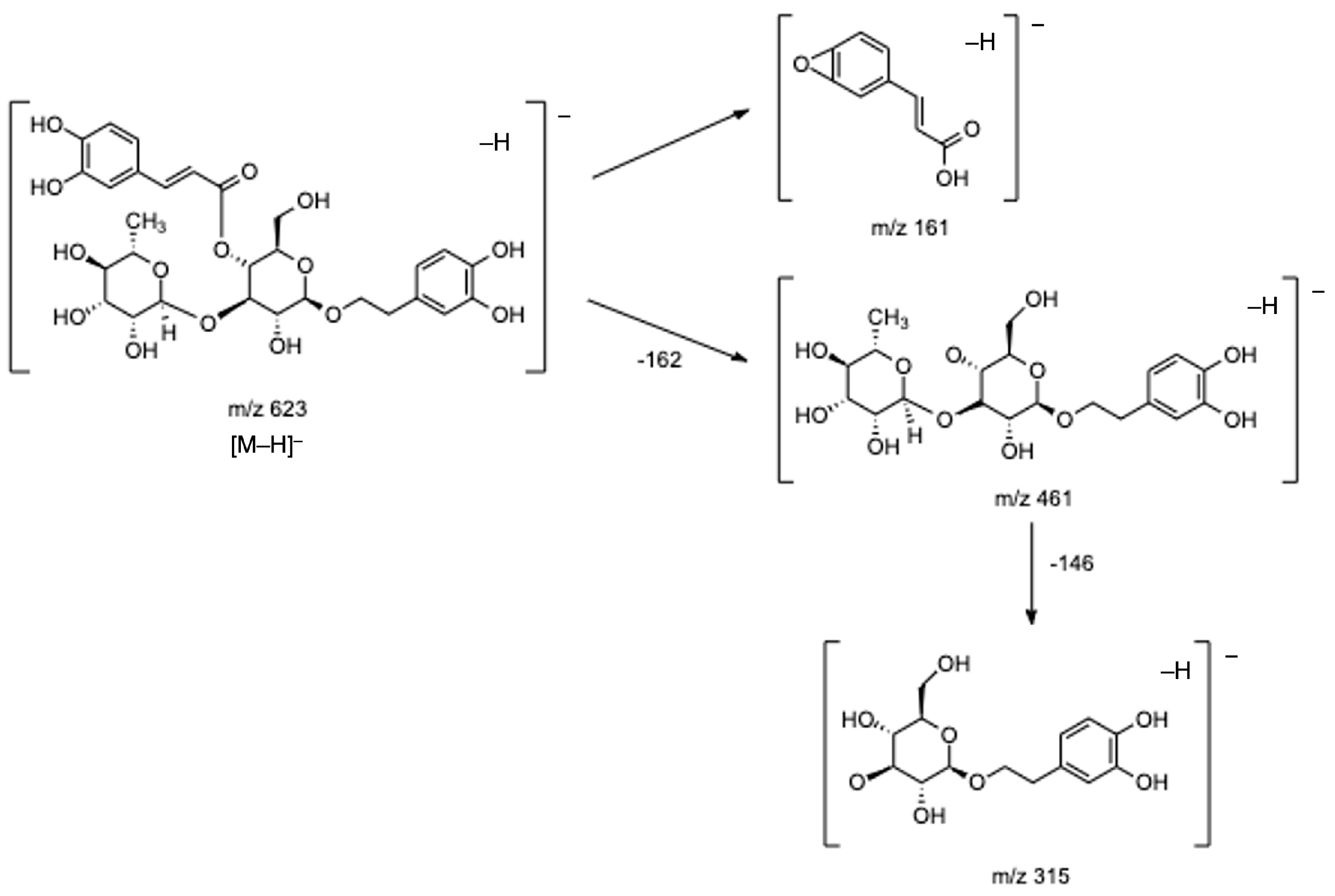 Antioxidants 12 00251 g004 Antioxidants 12 00251 g004