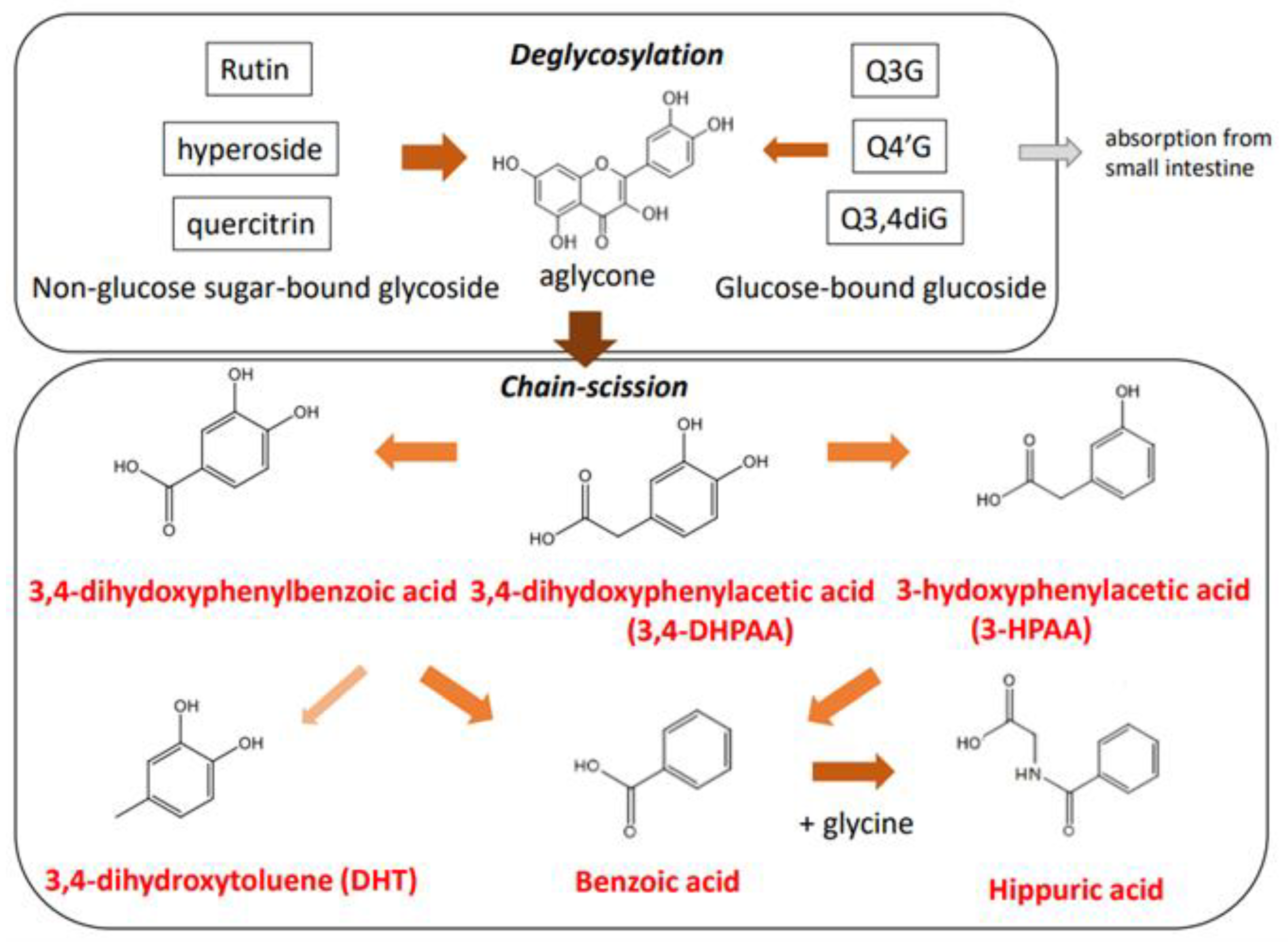 Antioxidants 12 00258 g004 Antioxidants 12 00258 g004