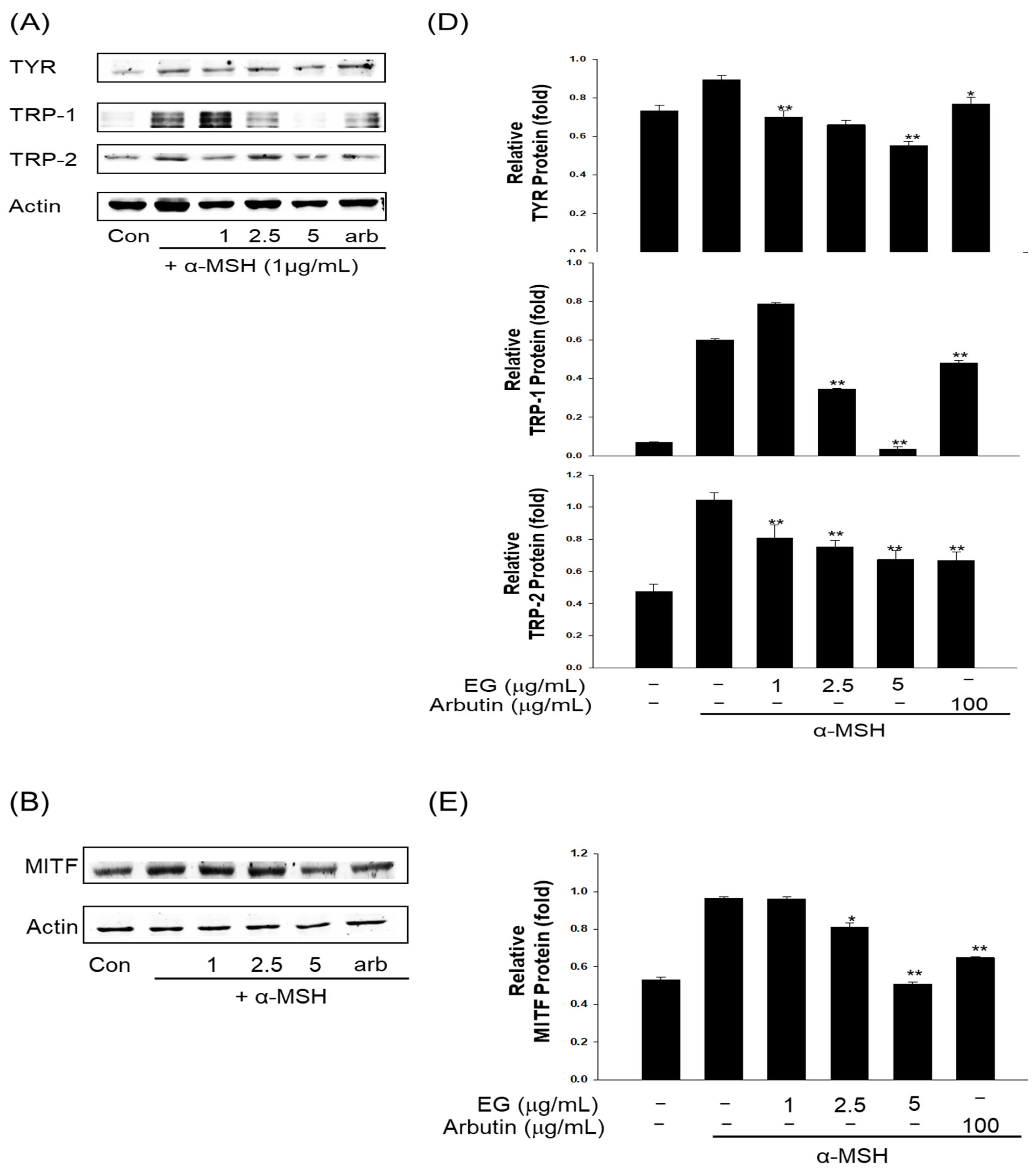 Antioxidants 12 00269 g010a