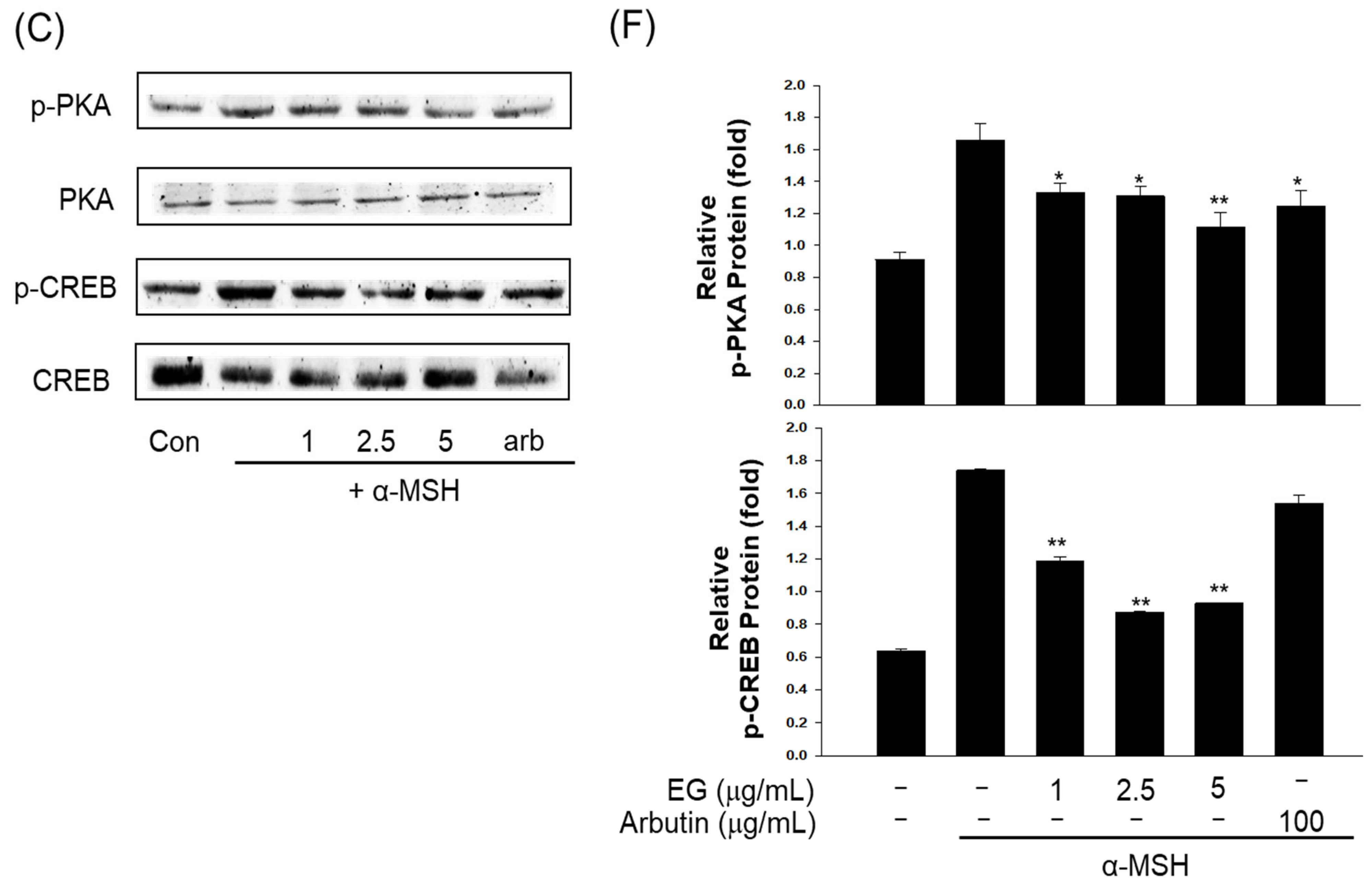 Antioxidants 12 00269 g010b