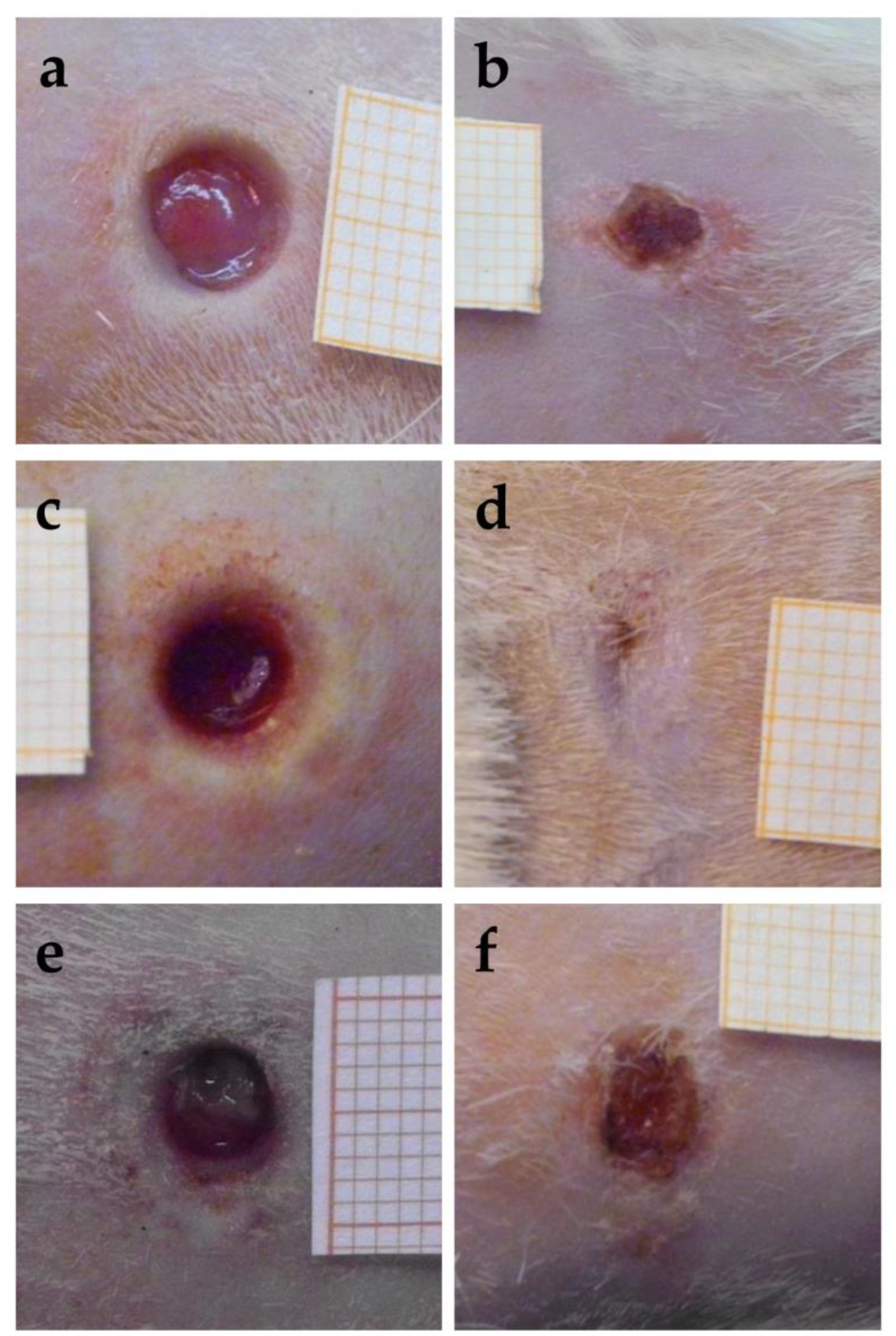 Antioxidants 12 00273 g011