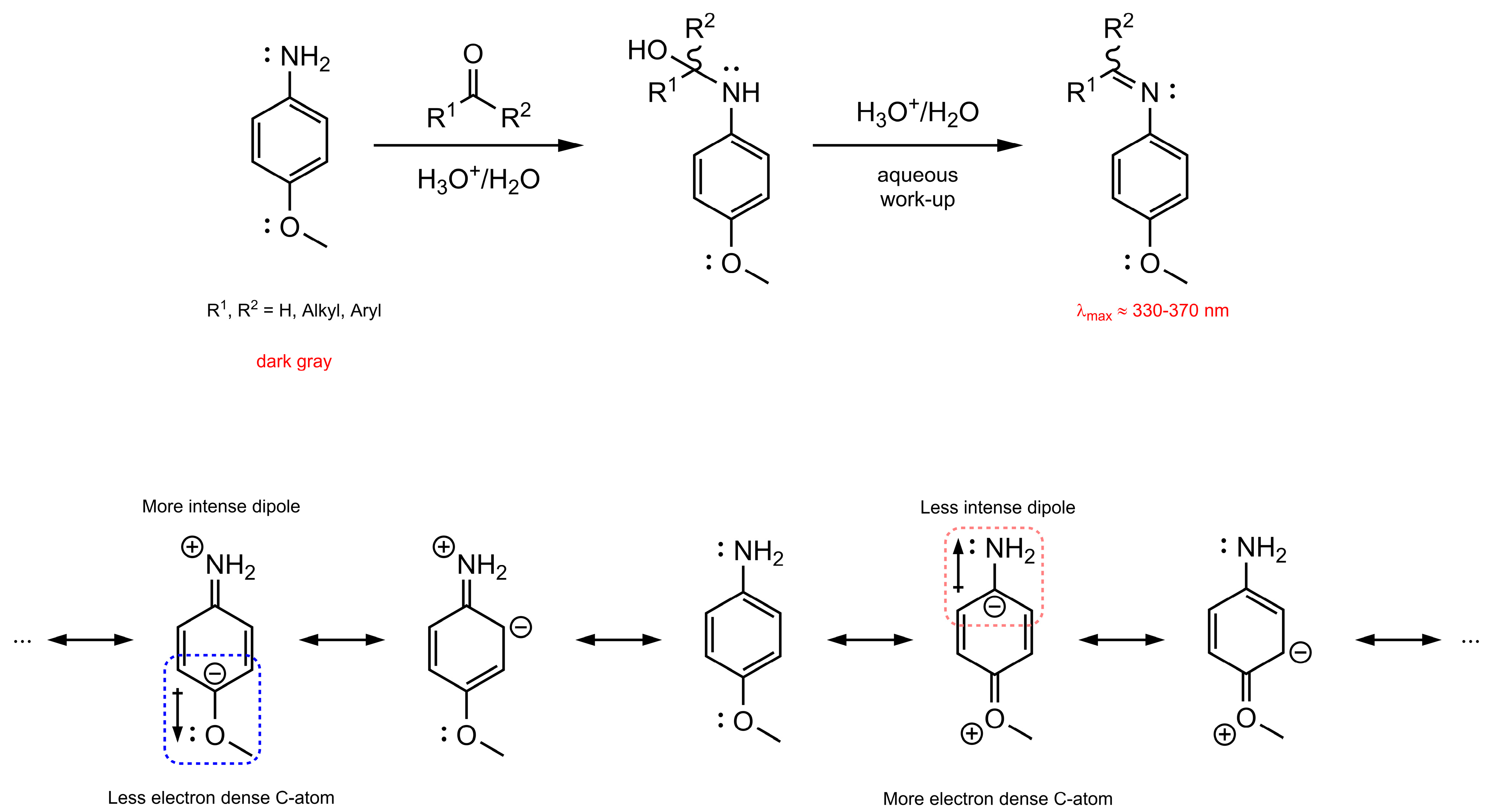 Antioxidants 12 00282 sch001 Antioxidants 12 00282 sch001